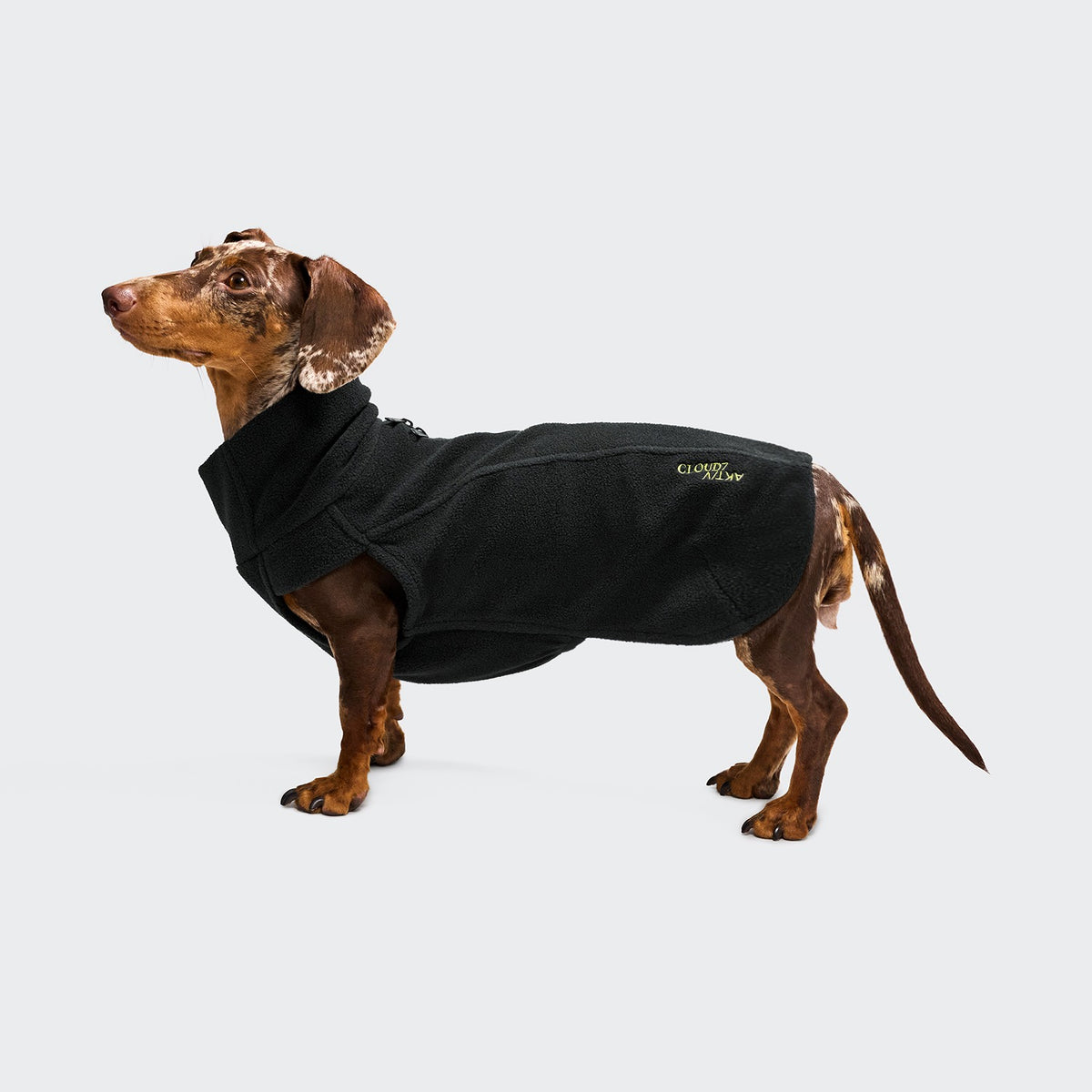 Hundepullover Body Warmer DACKEL AKTIV Black