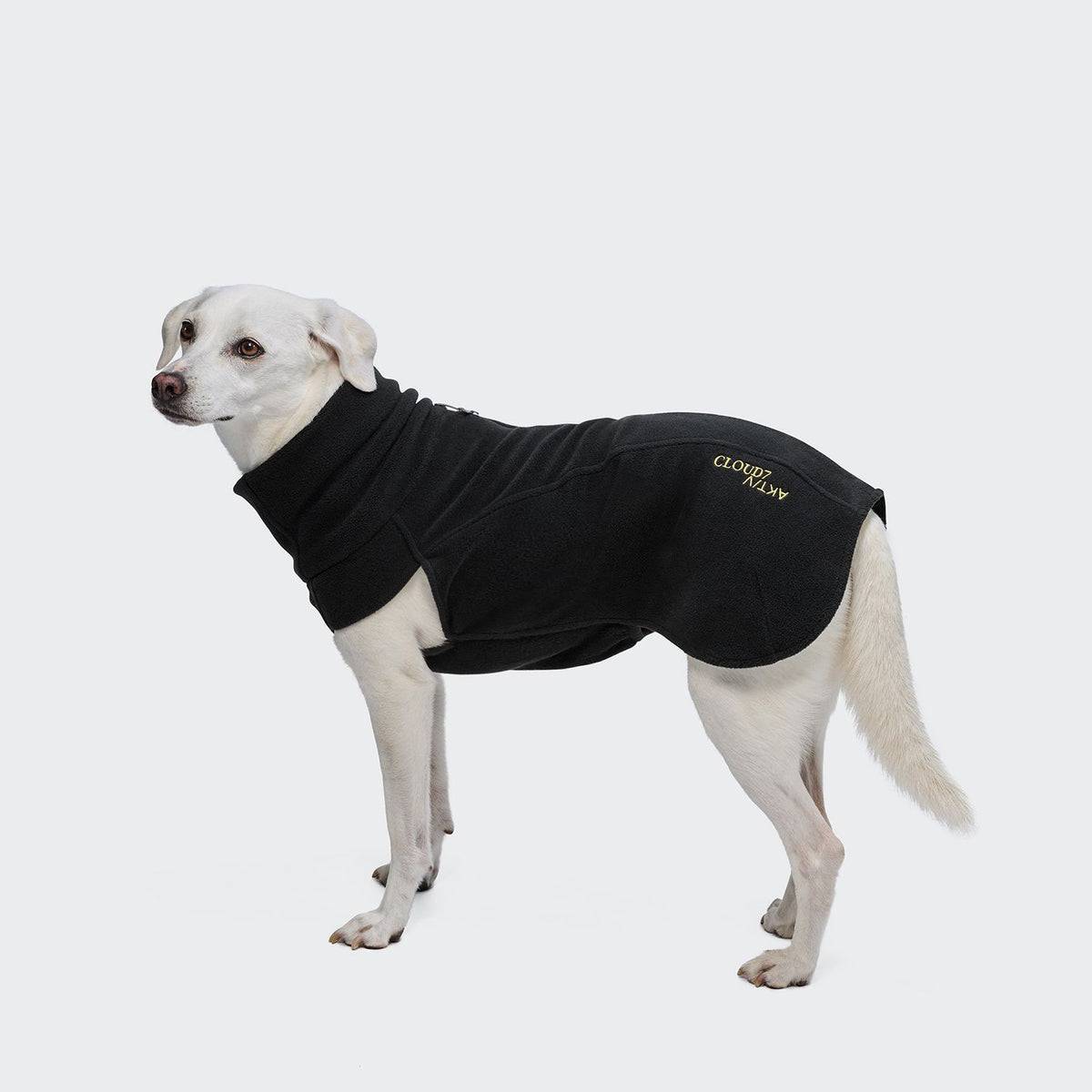Hundepullover Body Warmer AKTIV Black
