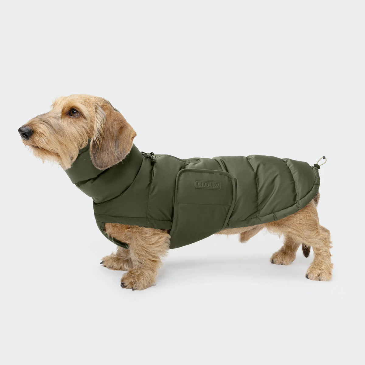 Hundemantel DACKEL Alaska Light Olive