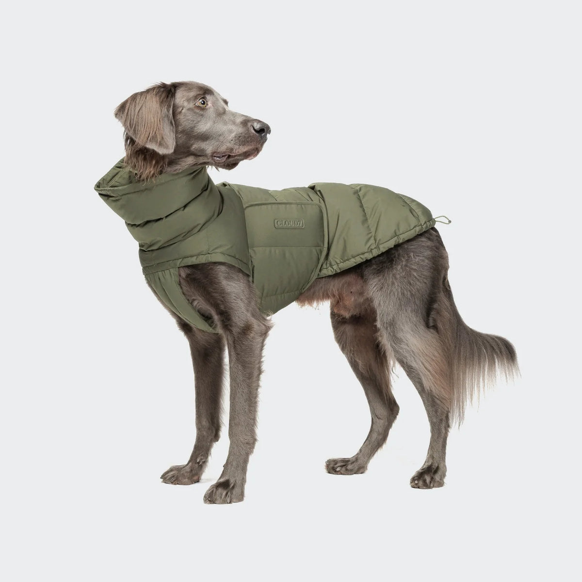 Hundemantel Alaska Light Olive