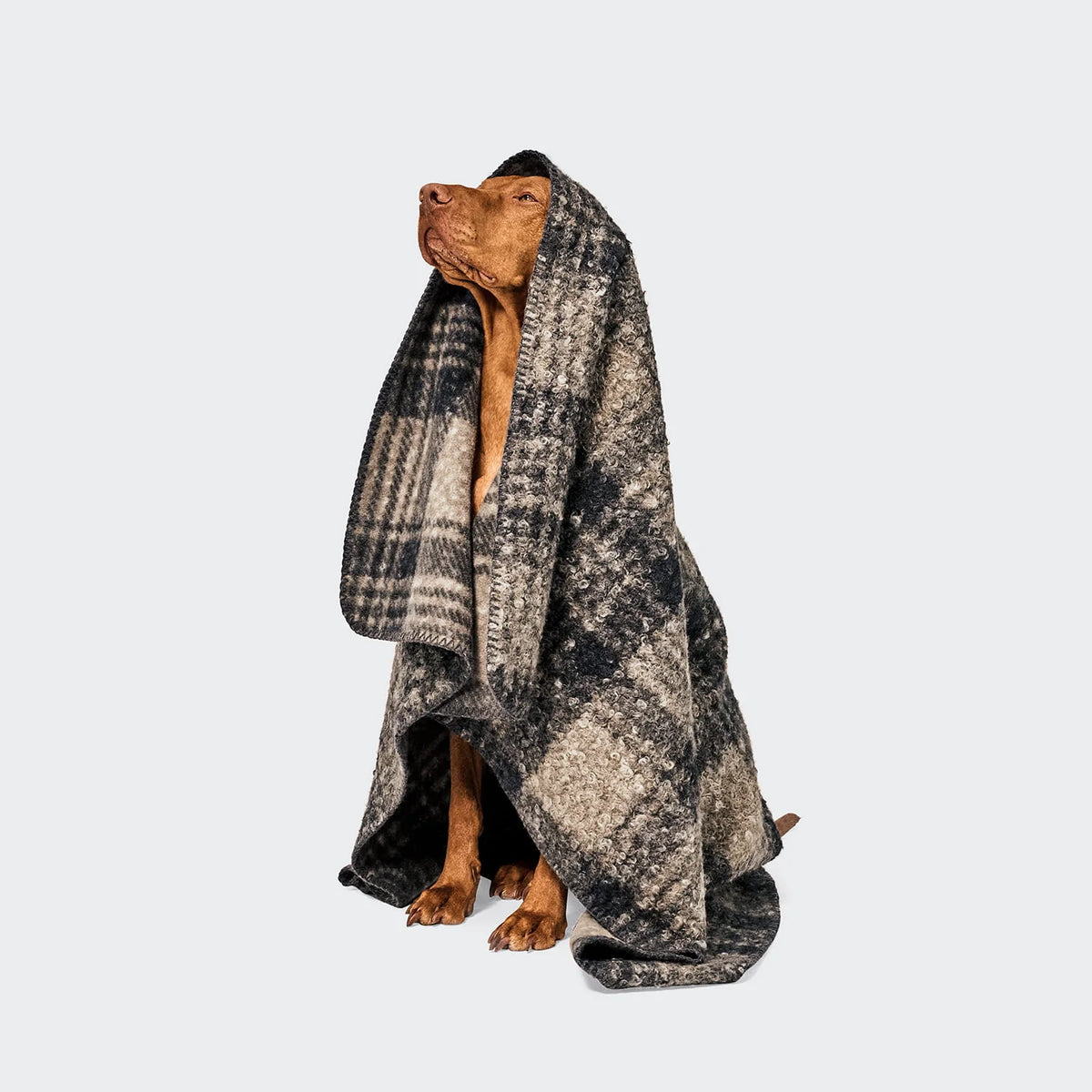 Hundedecke Bouclé Tartan