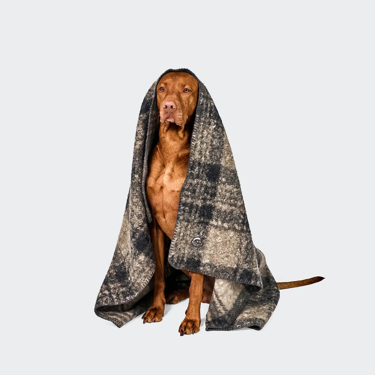 Hundedecke Bouclé Tartan