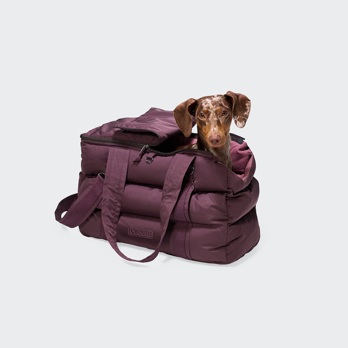 Hundetasche Montreal 2.0 Dark Aubergine