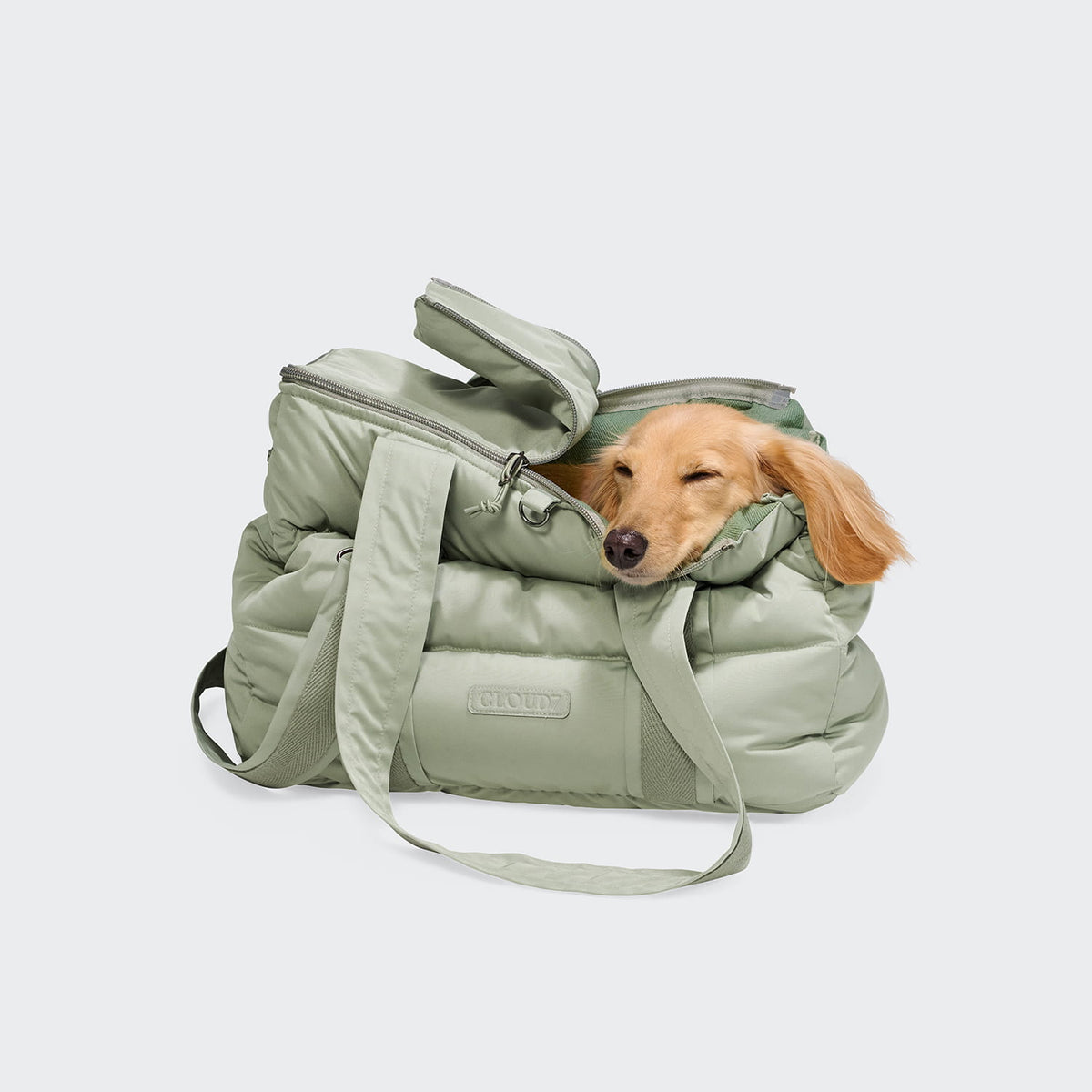 Hundetasche Montreal 2.0 Dusty Mint