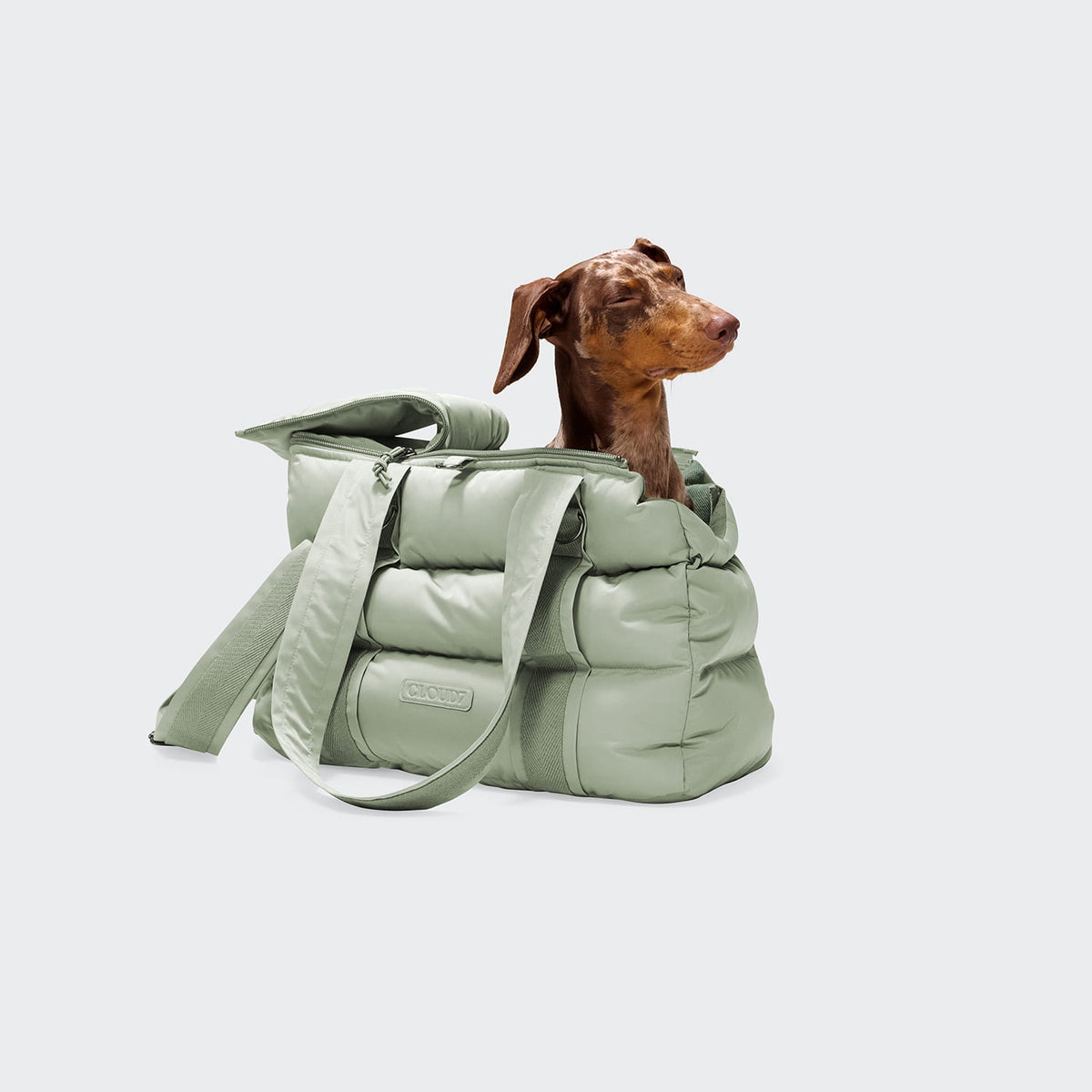 Hundetasche Montreal 2.0 Dusty Mint