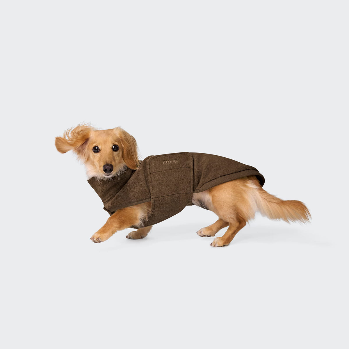 Hundepullover Derby DACKEL 2.0 Soft Fleece Coffee