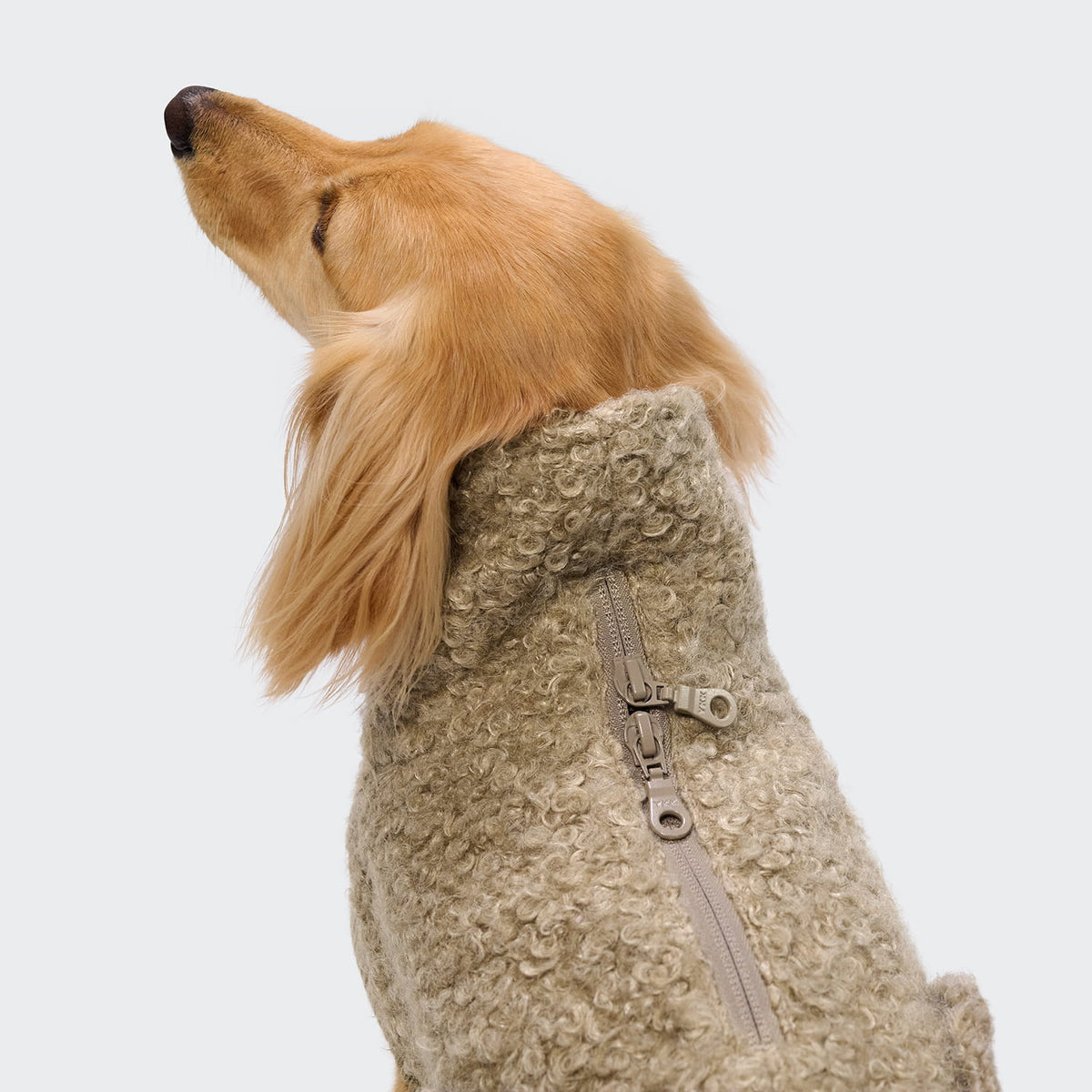Hundepullover Gotland DACKEL Sandy Brown