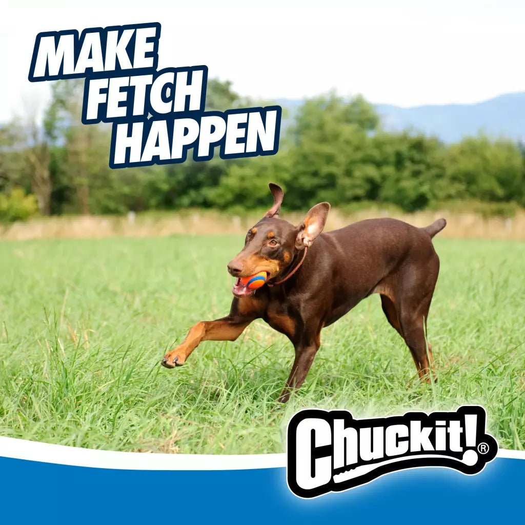 Chuckit-Ultra-Ball-Mood