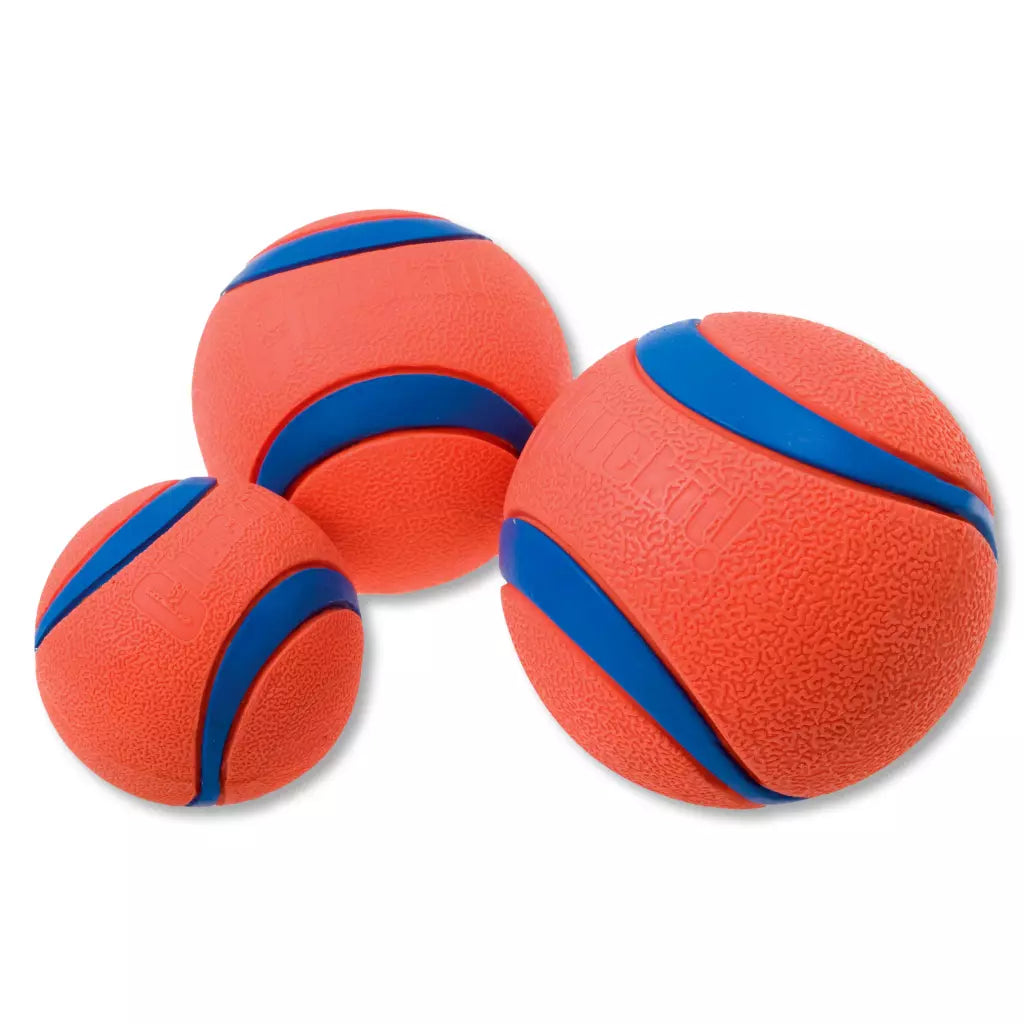 Chuckit-Ultra-Ball