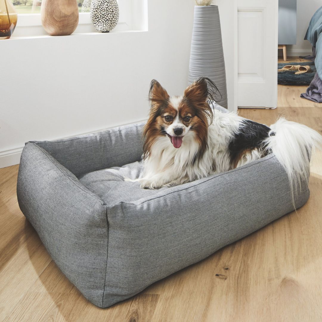 Classic-Hundebett-Smooth-Laboni-Black-Silk-Hund