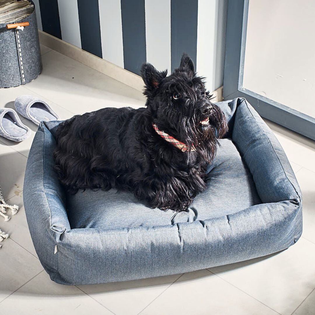 Classic-Hundebett-Smooth-Laboni-Black-Silk-Hund3