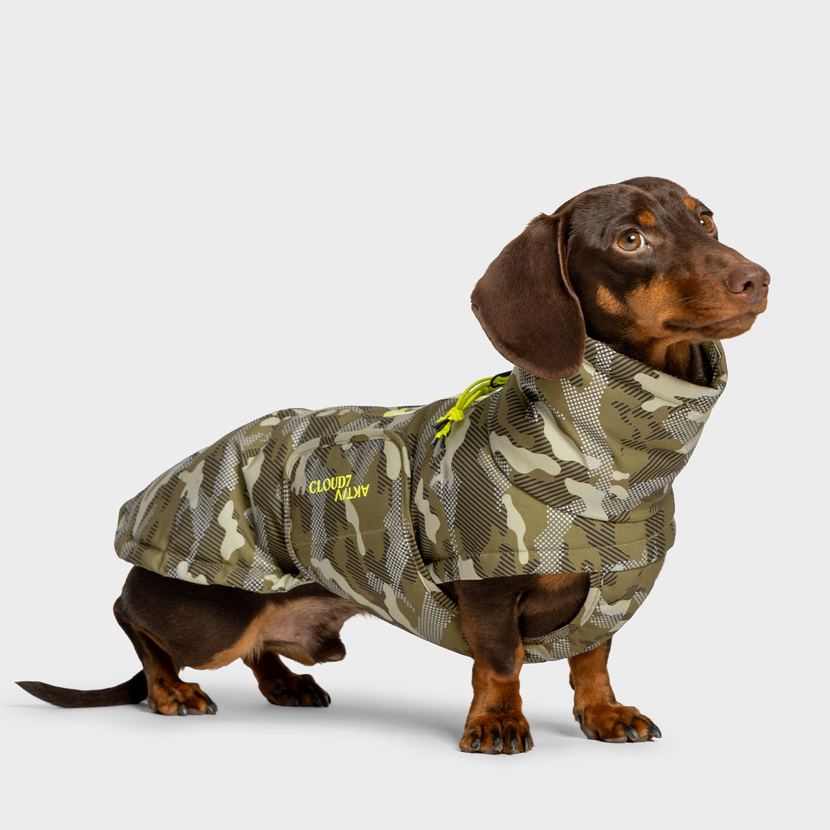 Cloud7-AKTIV-Alaska-Dackel-Camo-Hund