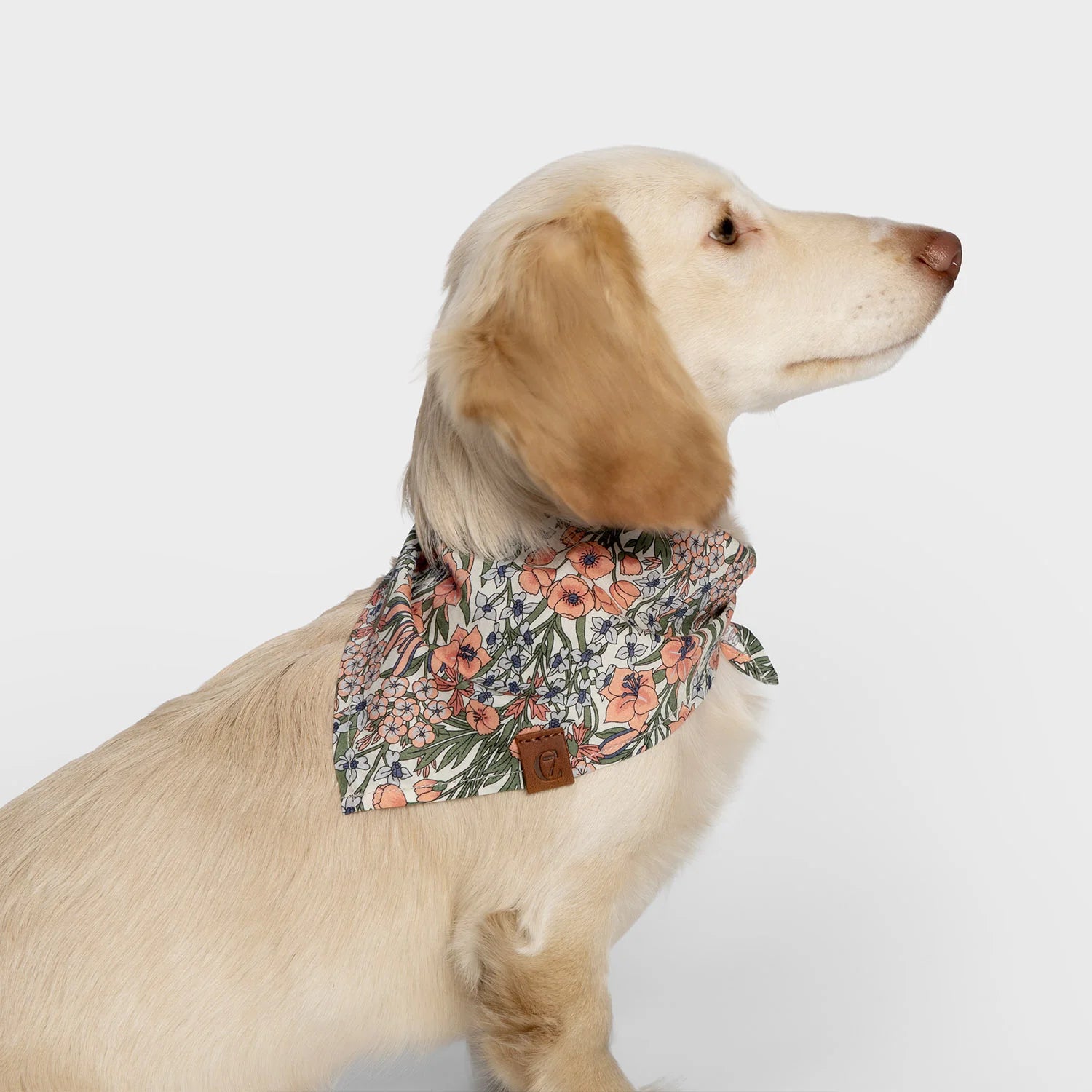 Cloud7-Bandana-Hundehalstuch-LTTL-Blossoms-Hund