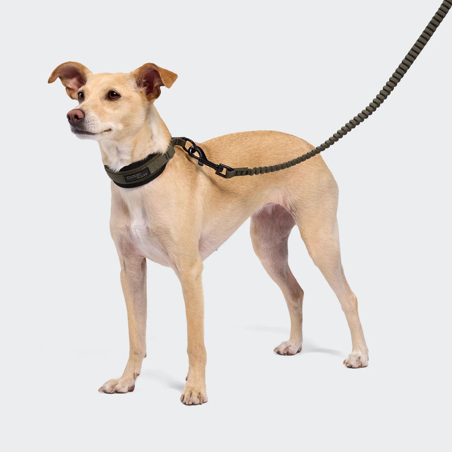 Cloud7-C1-Zugstopp-Halsband-AKTIV-Olive-4