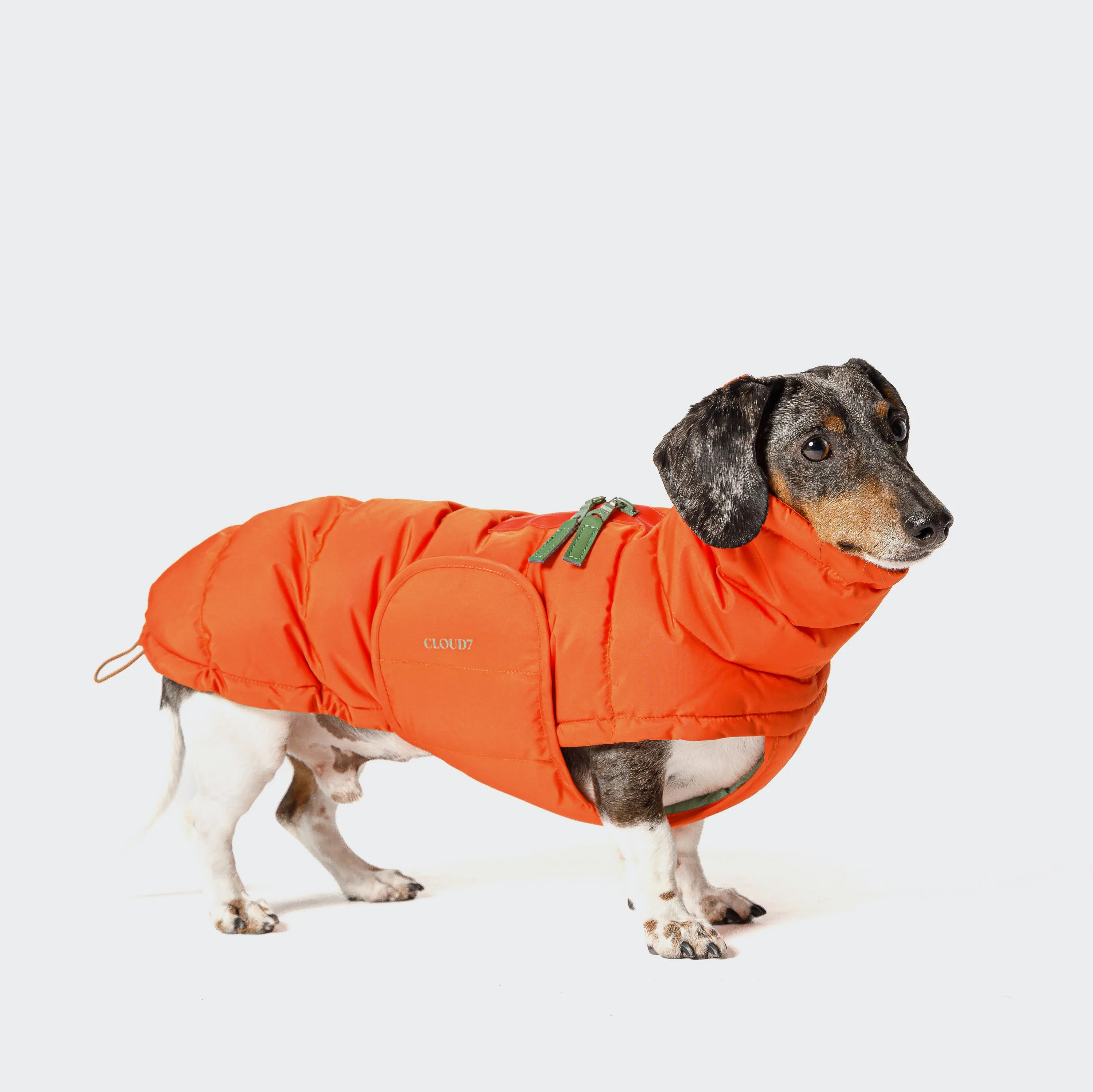 Hundemantel DACKEL Alaska Burnt Orange