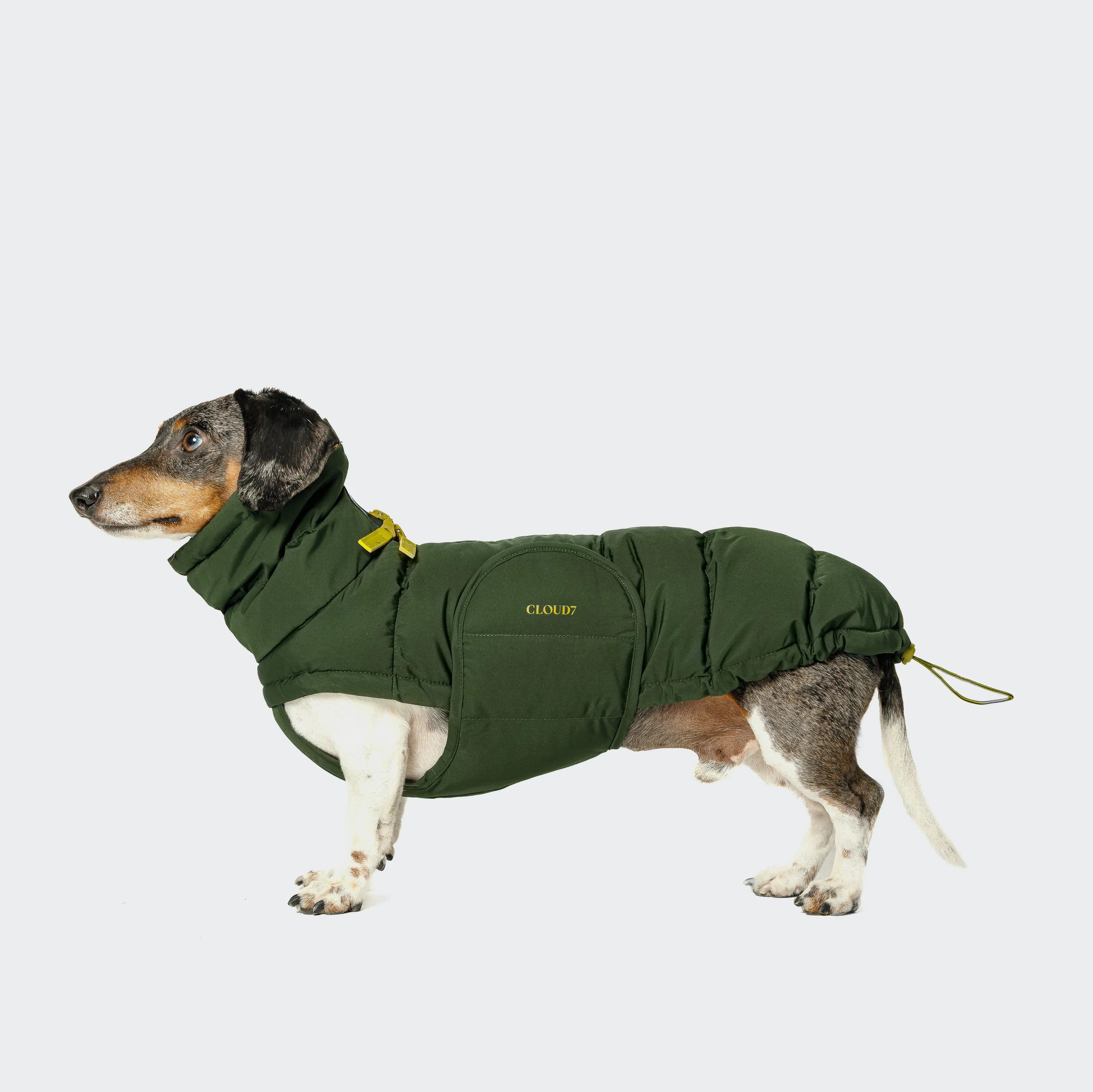 Hundemantel DACKEL Alaska Olive