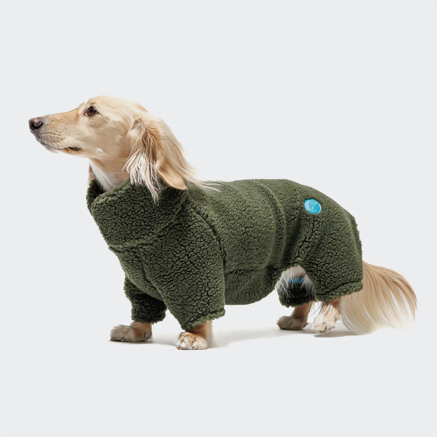 Hundepullover DACKEL Cornwall Teddy Olive
