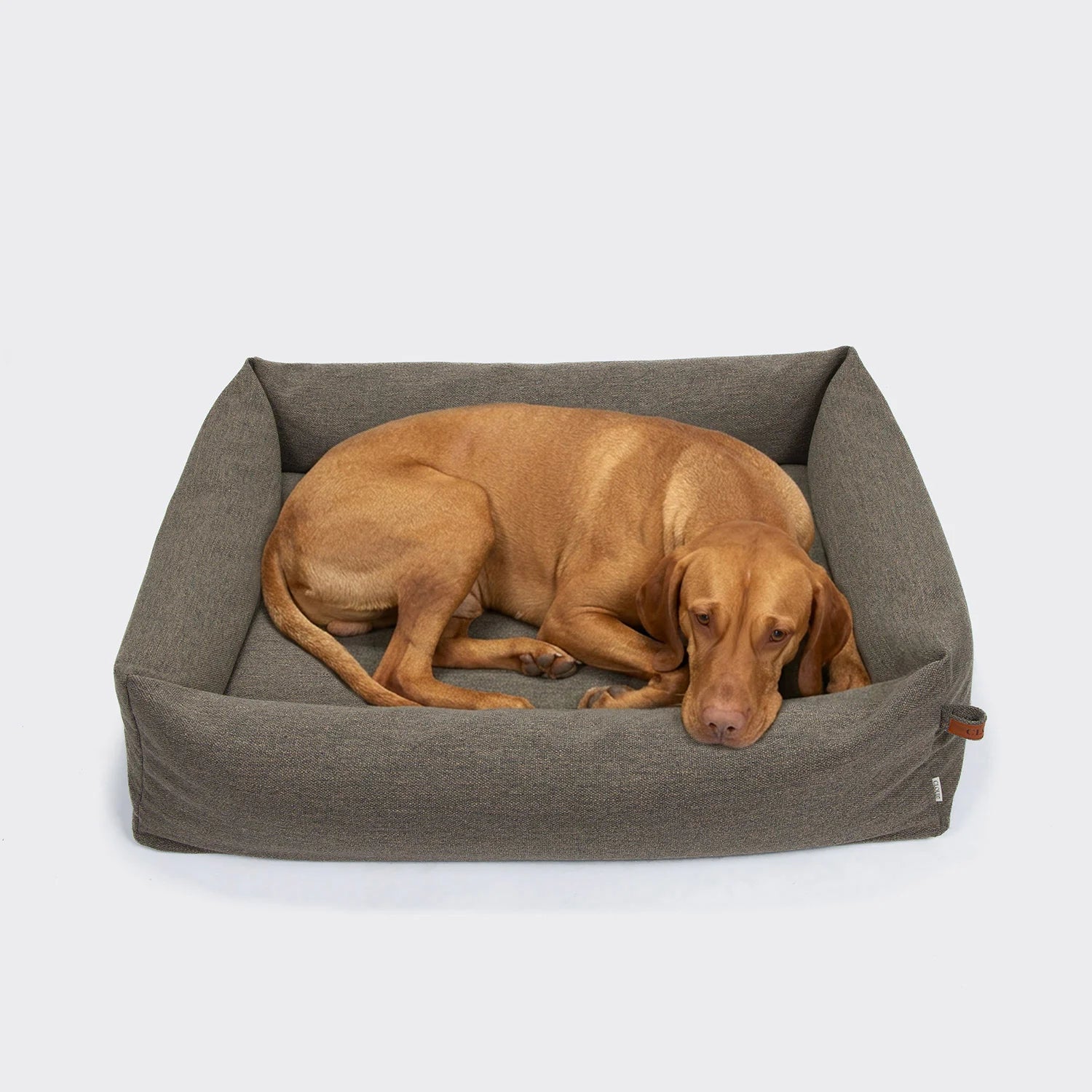 Cloud7-Hundebett-Sleepy-Deluxe-Linen-Taupe-Hund