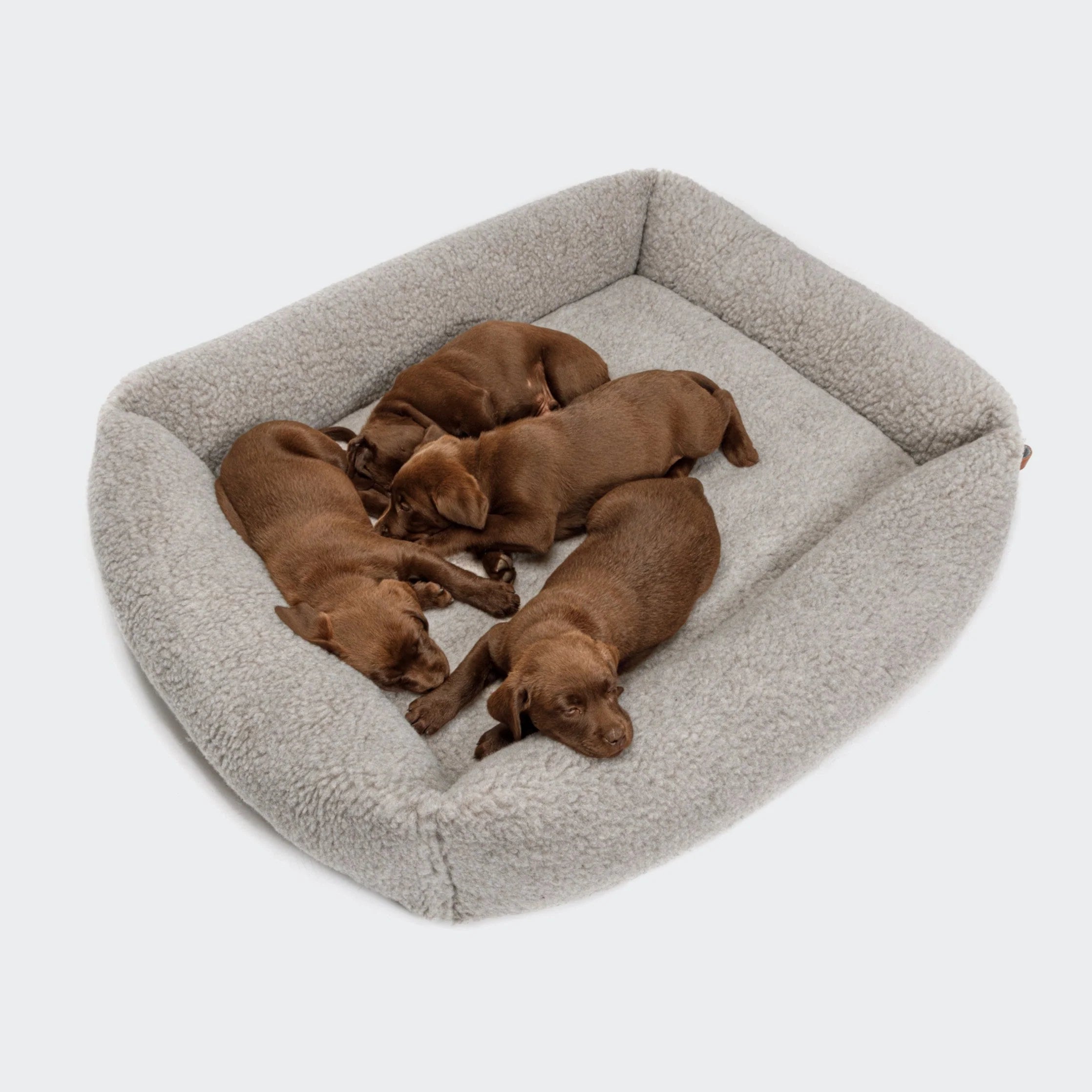 Cloud7-Hundebett-Sleepy-Deluxe-Teddy-Hunde