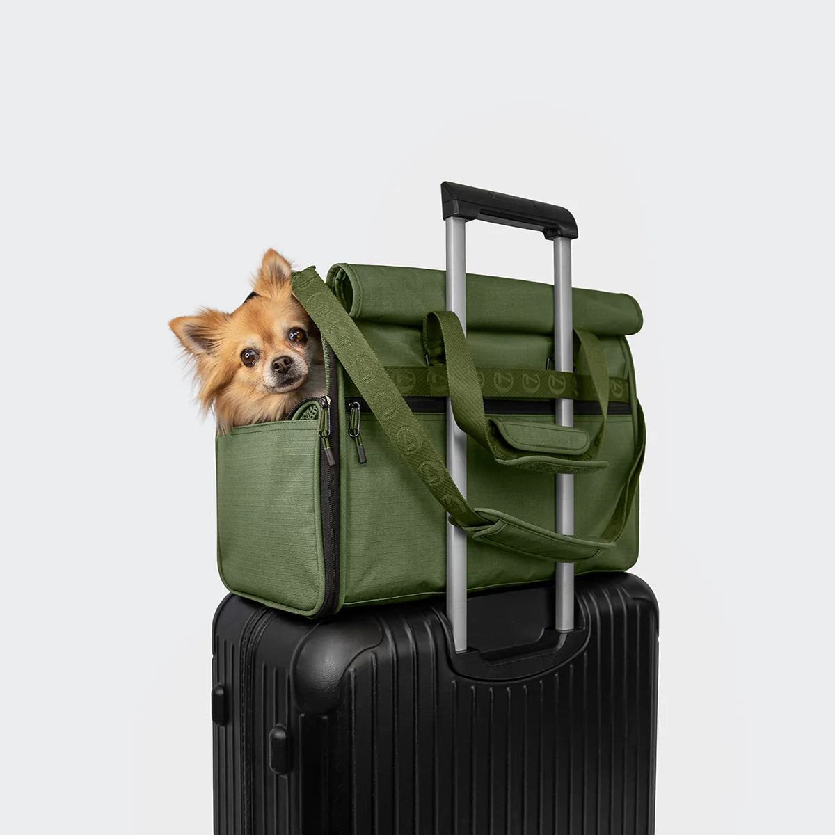 Cloud7-Hundeflugtasche-AKTIV-Olive-Hund