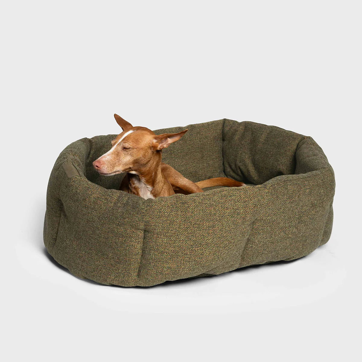 Cloud7-Hundekissen-Lazy-Mélange-Olive-L