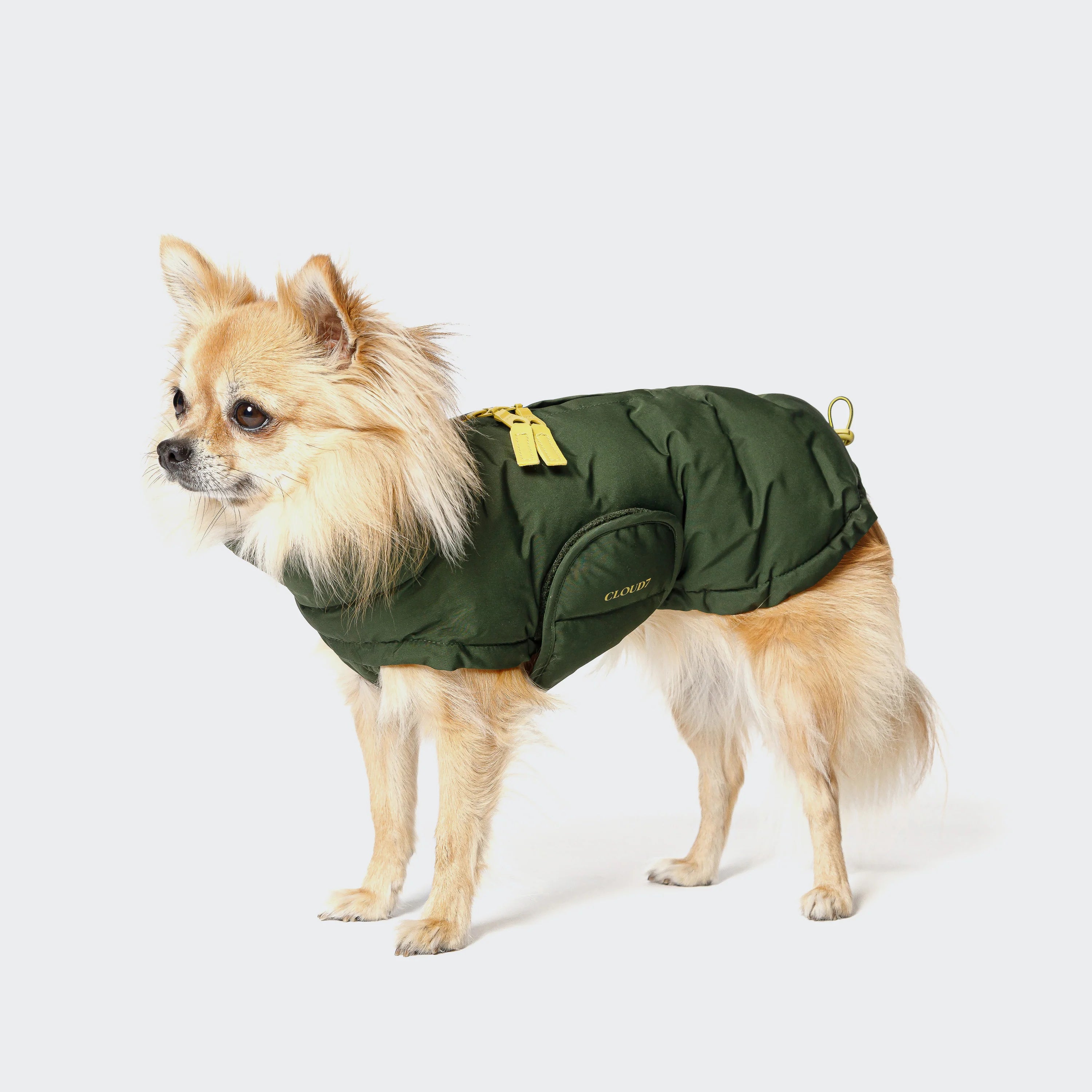 Cloud7-Hundemantel-Alaska-PRO-Olive-Hund