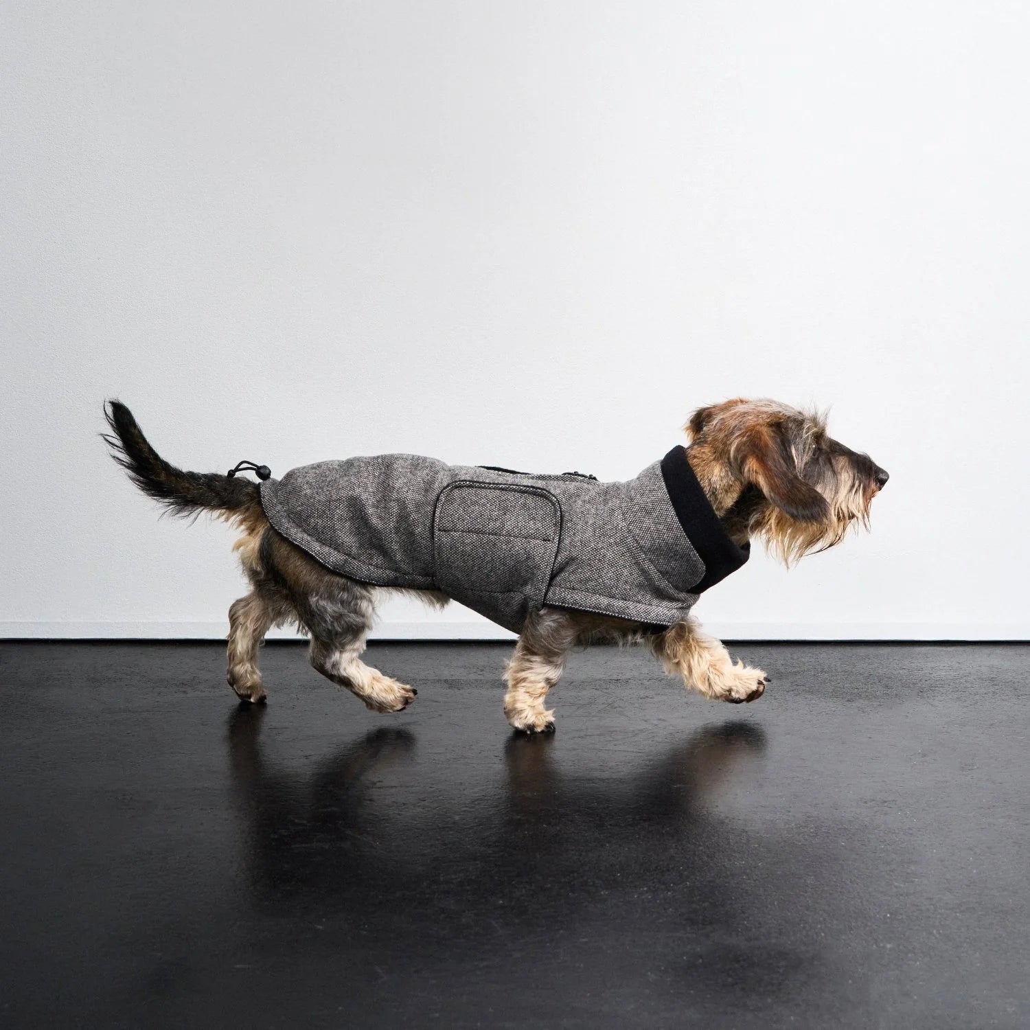 Cloud7-Hundemantel-Brooklyn-Dackel-Tweed-Black-Mood