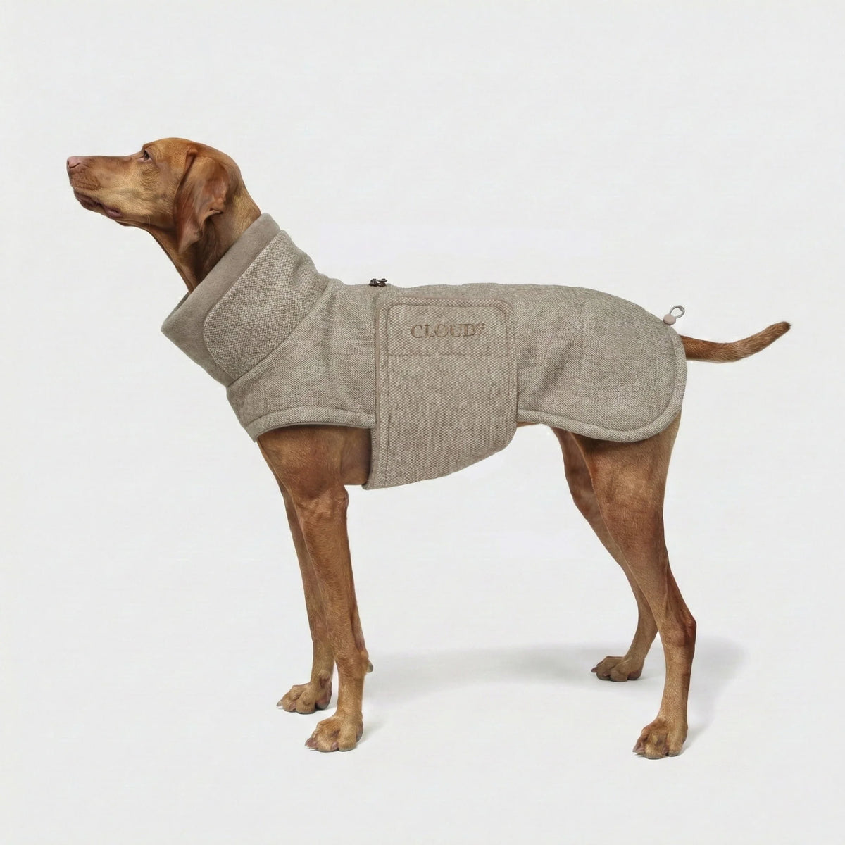 Cloud7-Hundemantel-Brooklyn-Long-Tweed-Beige