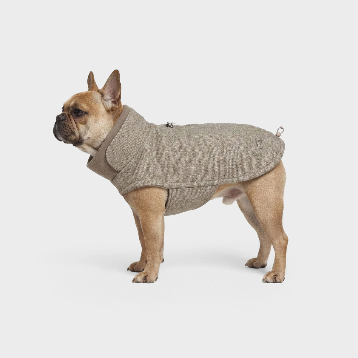Cloud7-Hundemantel-FrBulldog-Brooklyn-Tweed-Beige
