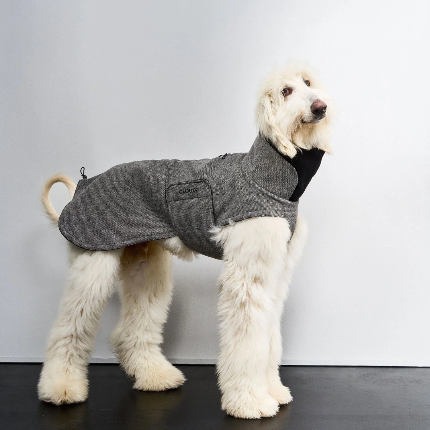 Cloud7-Hundemantel-Windhund-Brooklyn-Tweed-Black-Long-Mood
