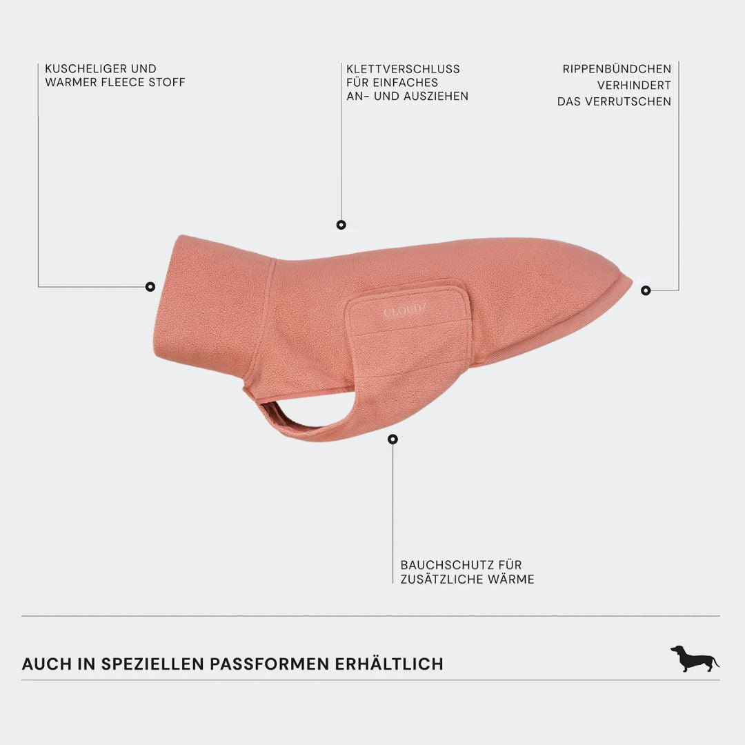 Cloud7-Hundepullover-Derby-FadedRose-Infografik