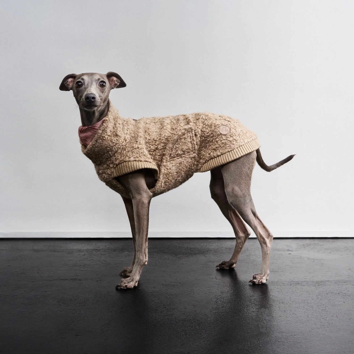 Cloud7-Hundepullover-Gotland-SandyBrown-Mood