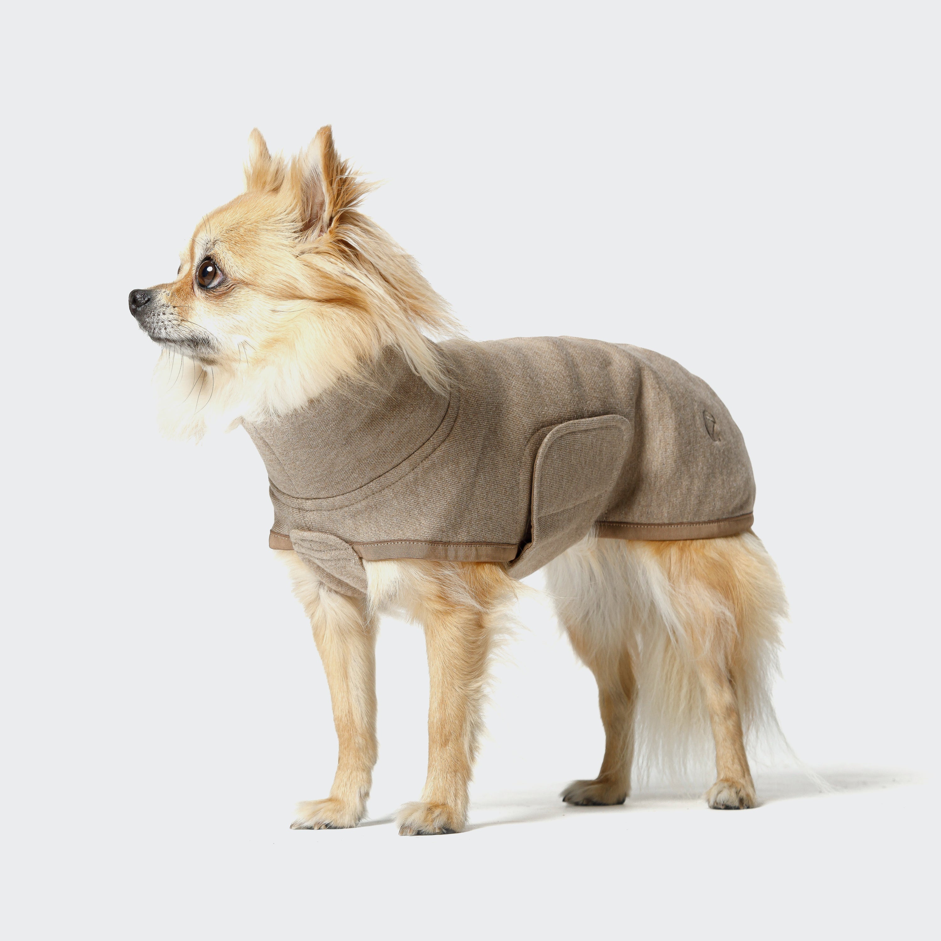 Cloud7-Hundepullover-Hundesweater-Dorset-Natural-Mélange-Hund