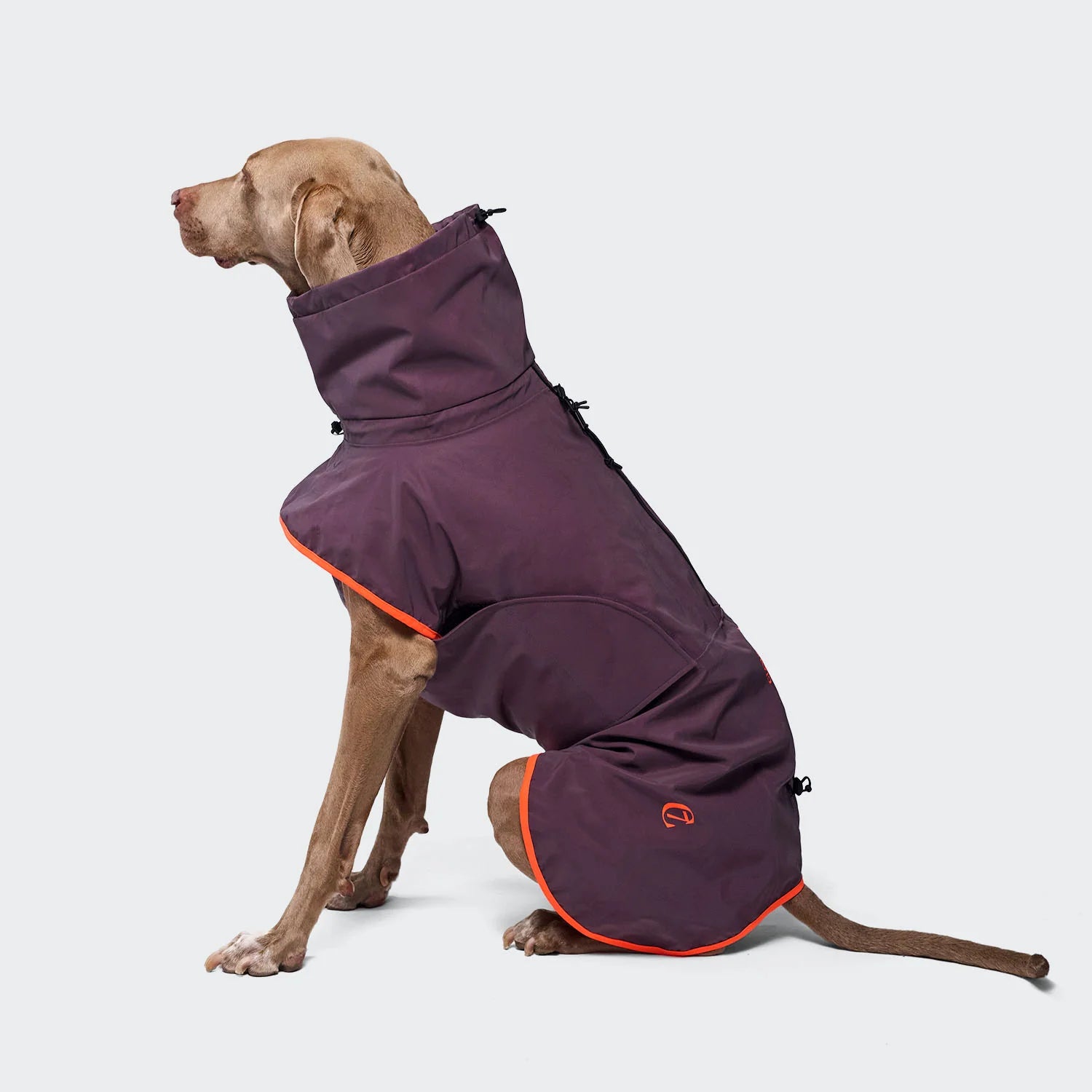 Cloud7-Hunderegenmantel-AKTIV-Aubergine-Orange-5