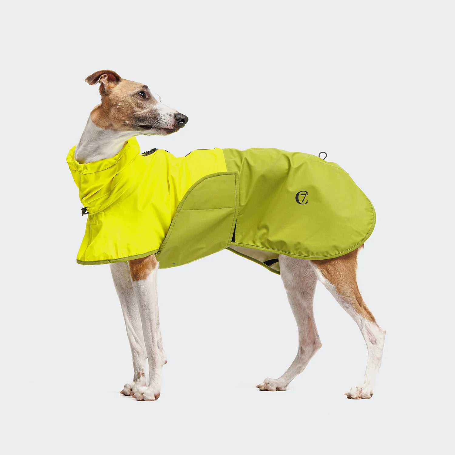 Cloud7-Hunderegenmantel-AKTIV-NeonGreen-LightOlive-Hund