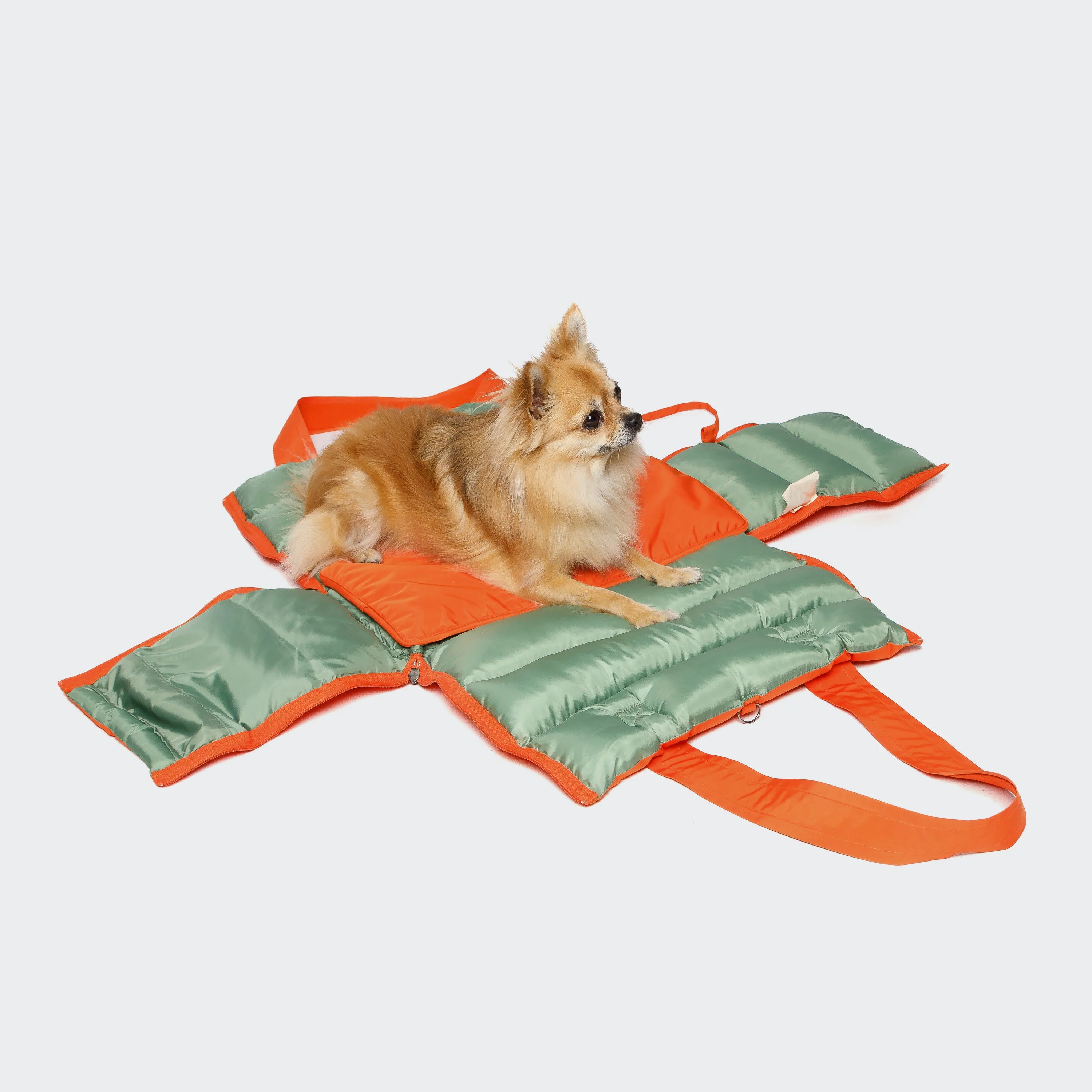 Cloud7-Hundetasche-Montreal-Burnt-Orange-2-in-1-offen