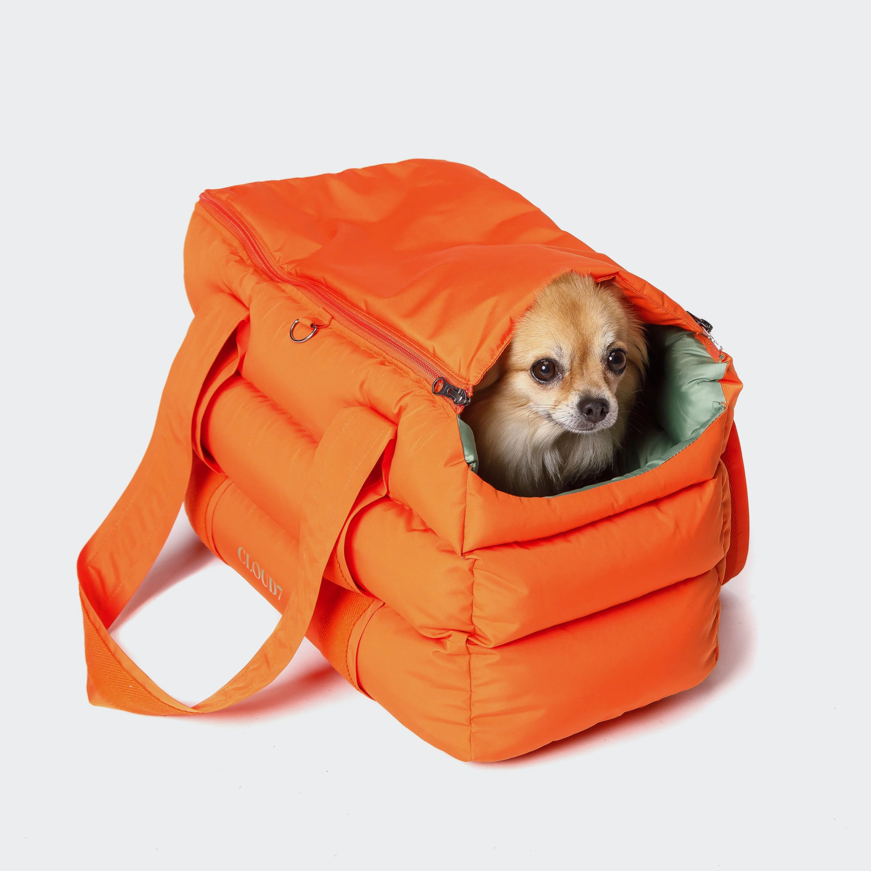 Cloud7-Hundetasche-Montreal-Burnt-Orange-Hund