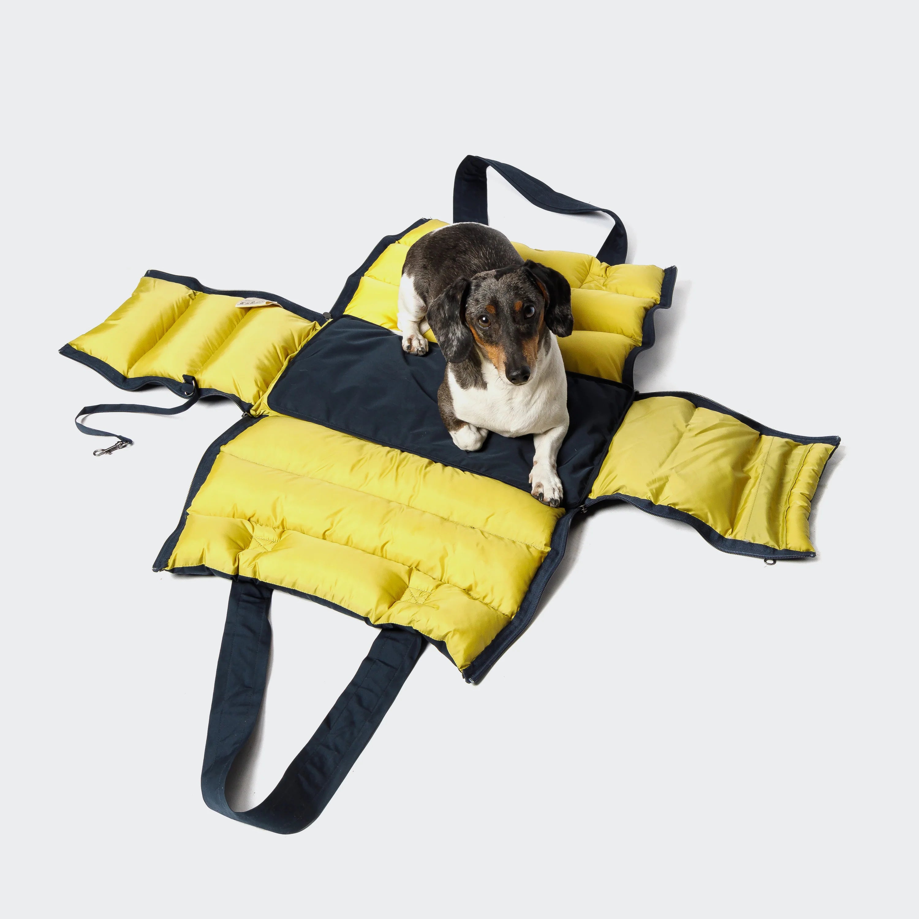 Cloud7-Hundetasche-Montreal-Navy-2-in-1-offen