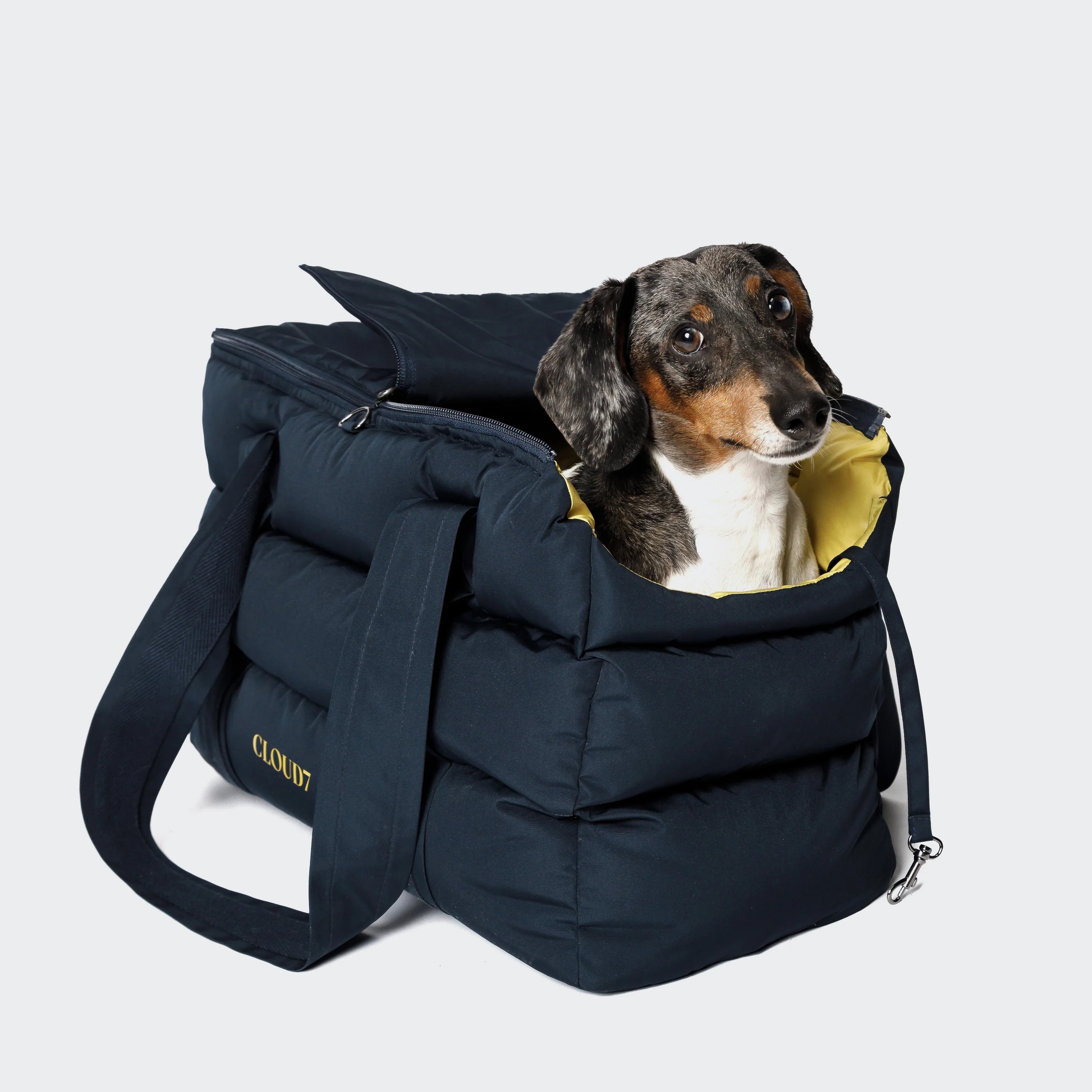 Cloud7-Hundetasche-Montreal-Navy-Hund