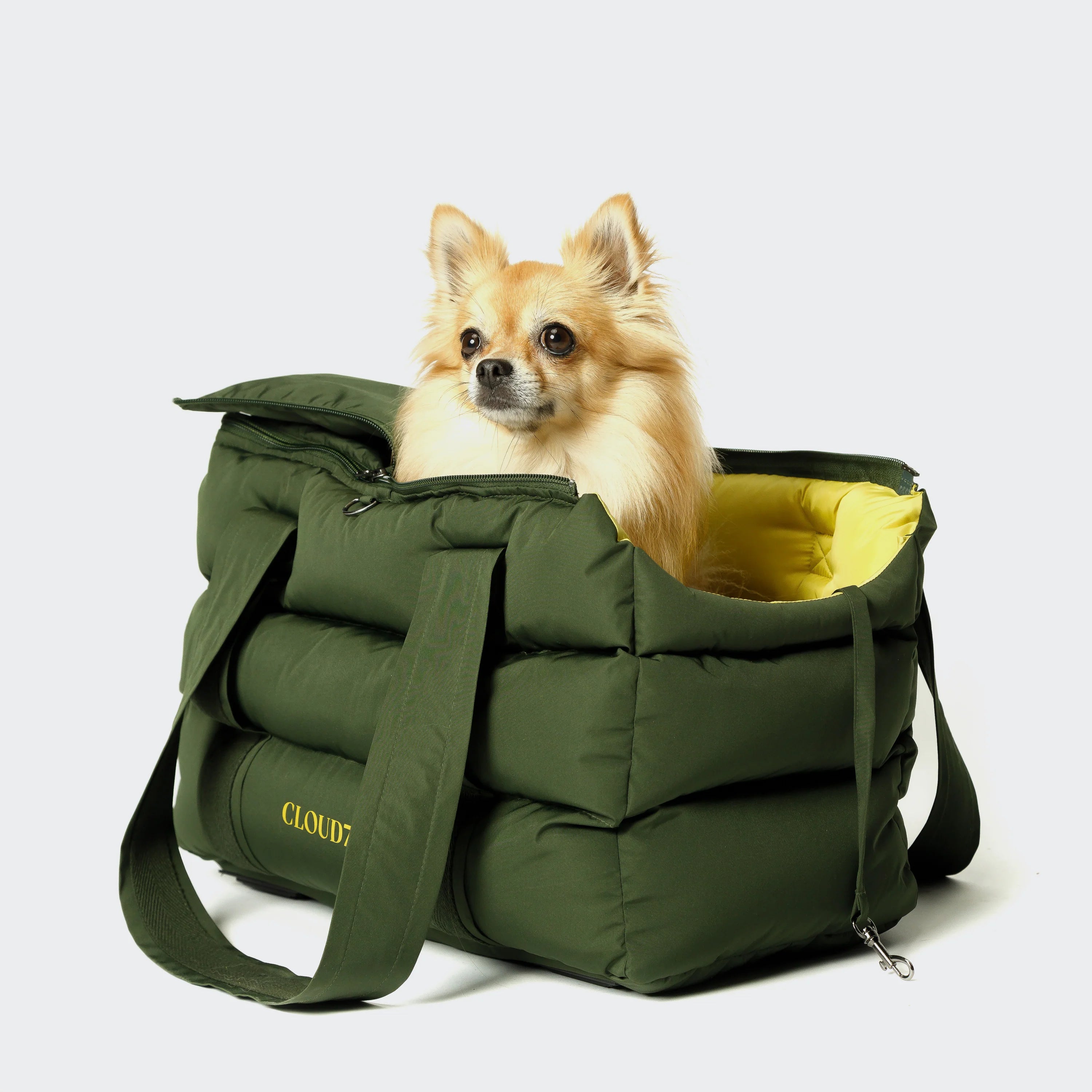 Cloud7-Hundetasche-Montreal-Olive-Hund