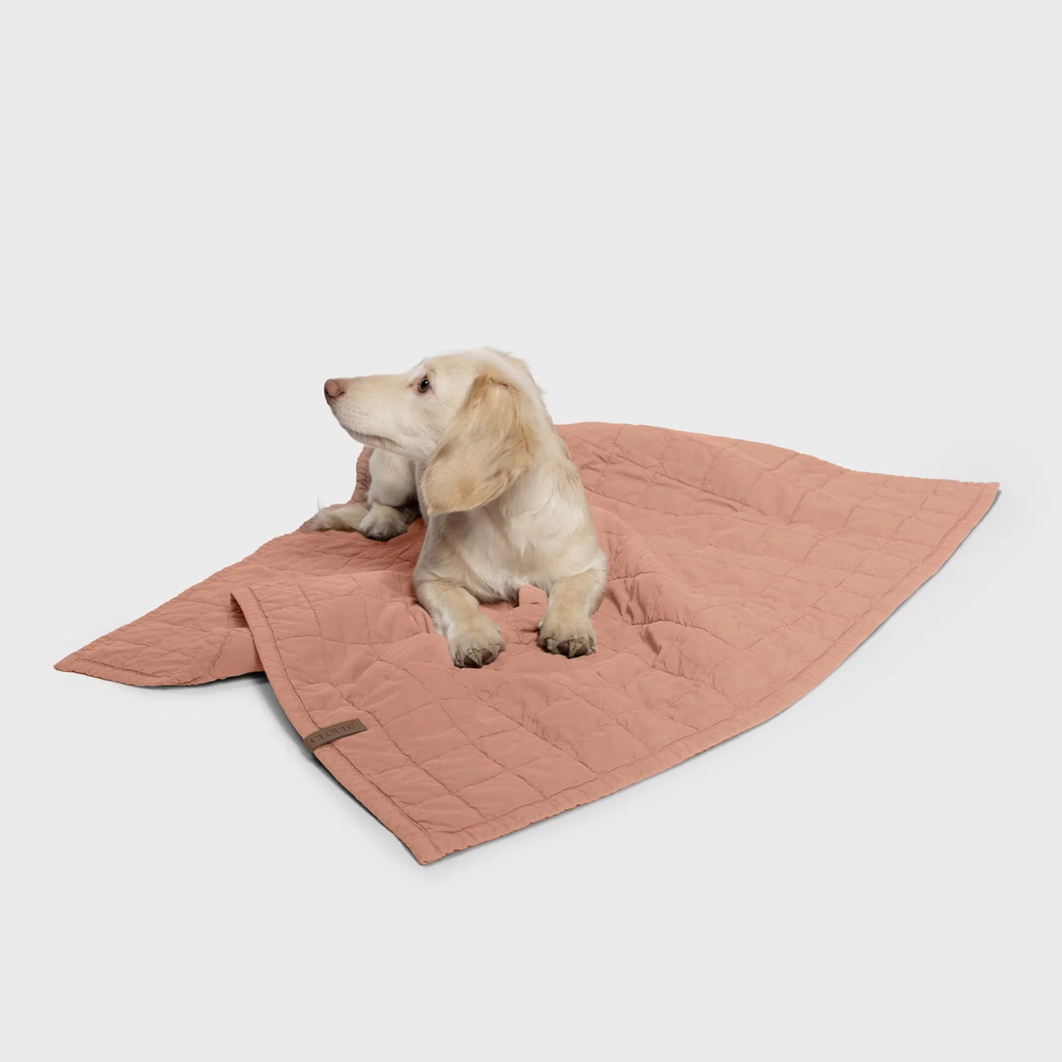 Cloud7-LTTL-Hundedecke-FadedRose