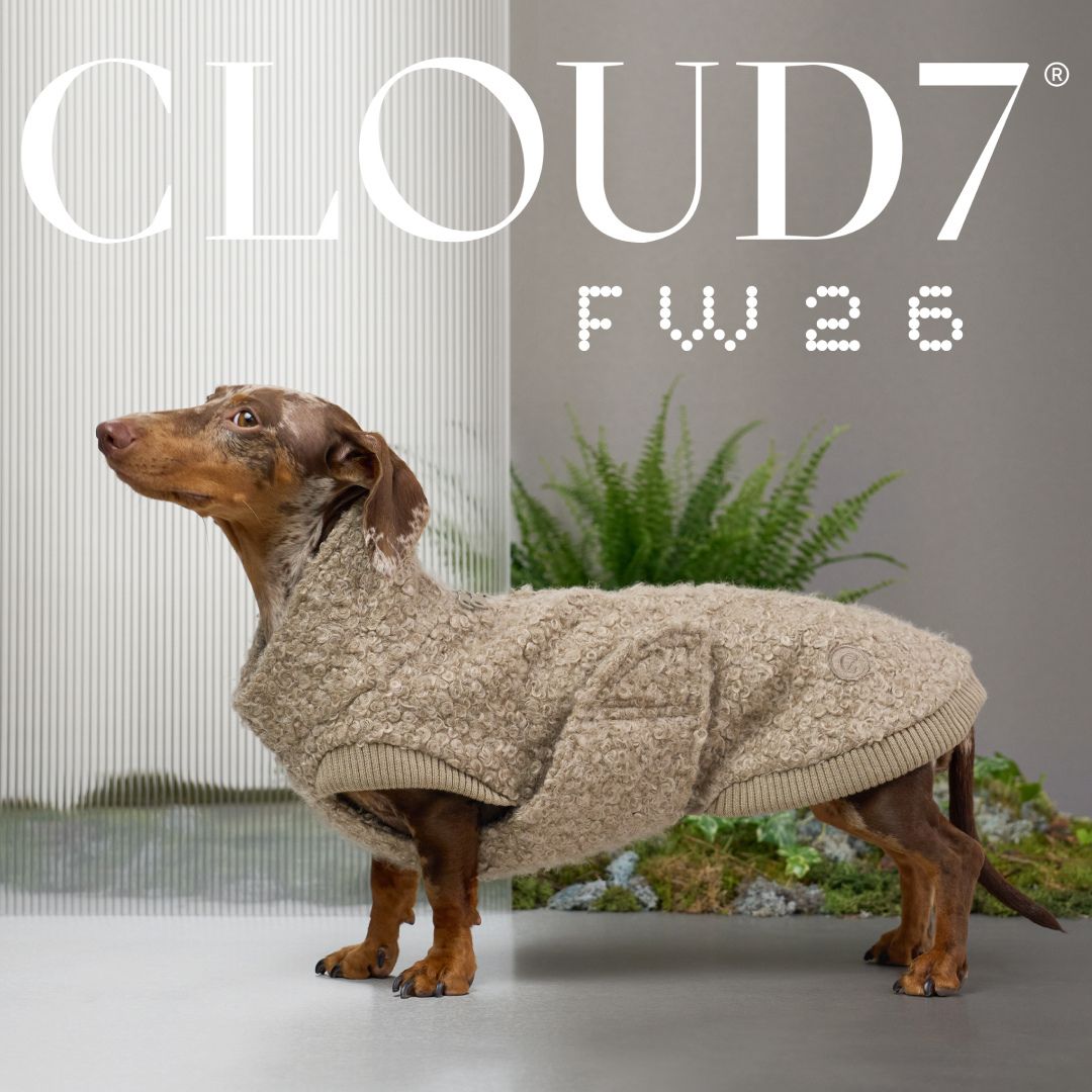 Cloud7-Sweater-Gotland-SandyBrown-Dackel-Mood