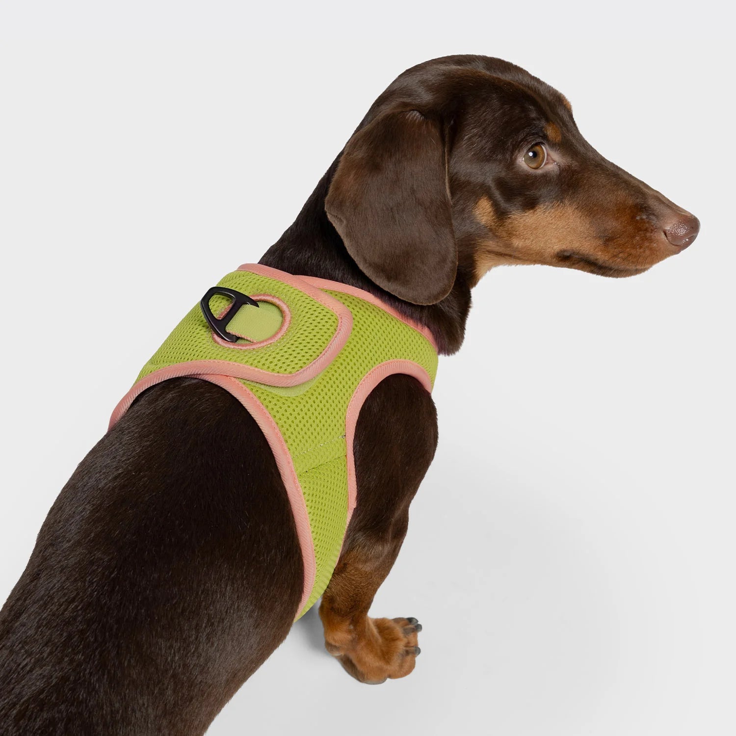 Cloud7-V-1-Westengeschirr-AKTIV-Air-Mesh-Peach-NeoGreen-4