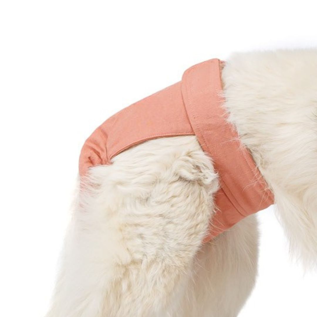 Cloud7-Woofstuff-Laeufigkeitshoeschen-Rose-Detail2