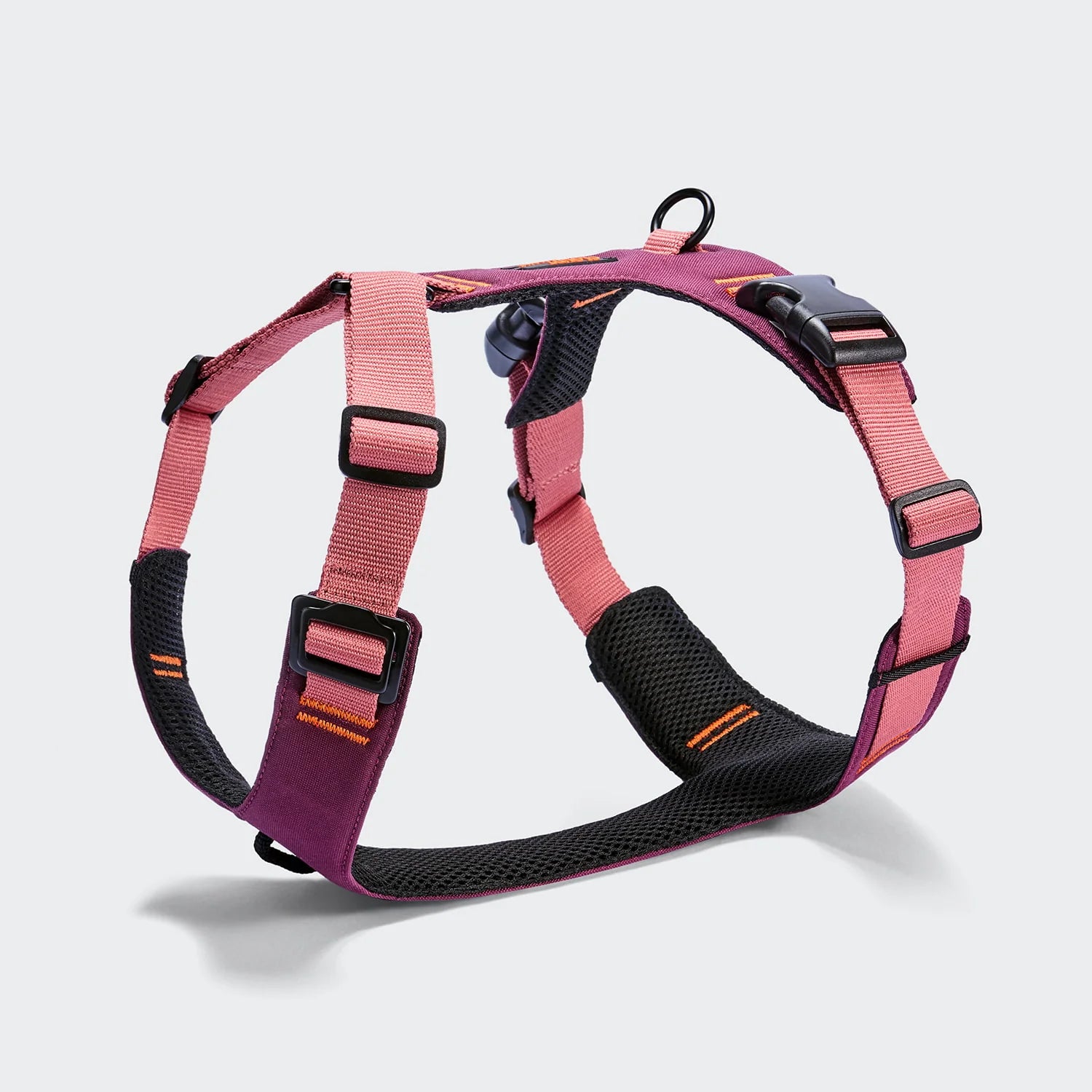 Cloud7-Y-2-Hundegeschirr-AKTIV-Cordura-Aubergine-SoftRose