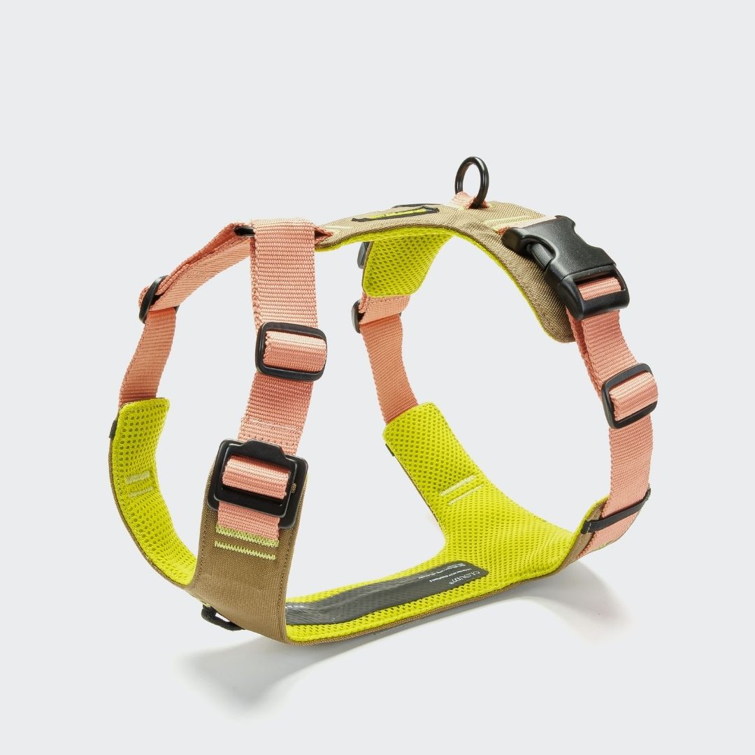 Cloud7-Y-2-Hundegeschirr-AKTIV-Cordura-Khaki-Peach