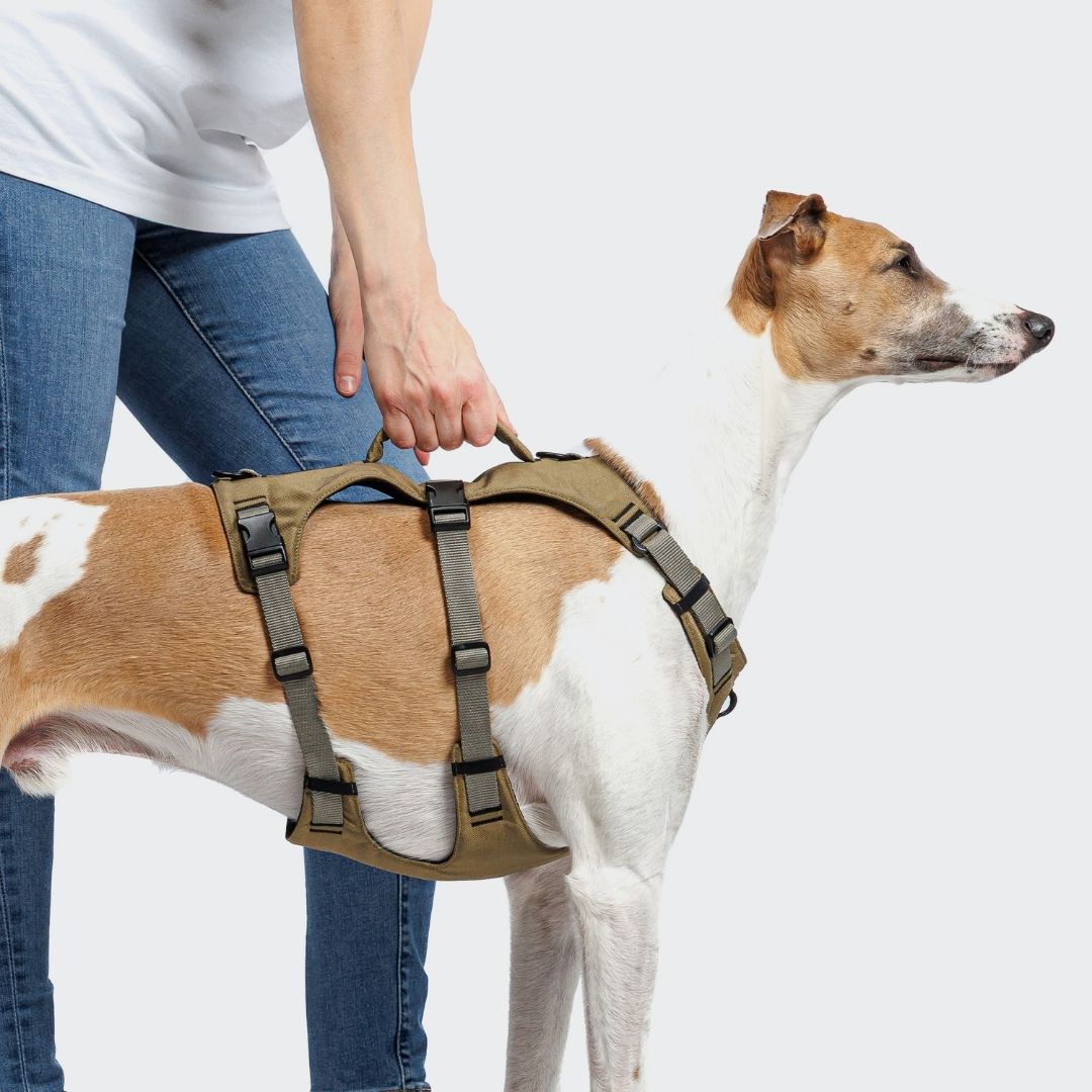 Cloud7-Y-Sicherheitsgeschirr-AKTIV-Khaki-Grey-Hund