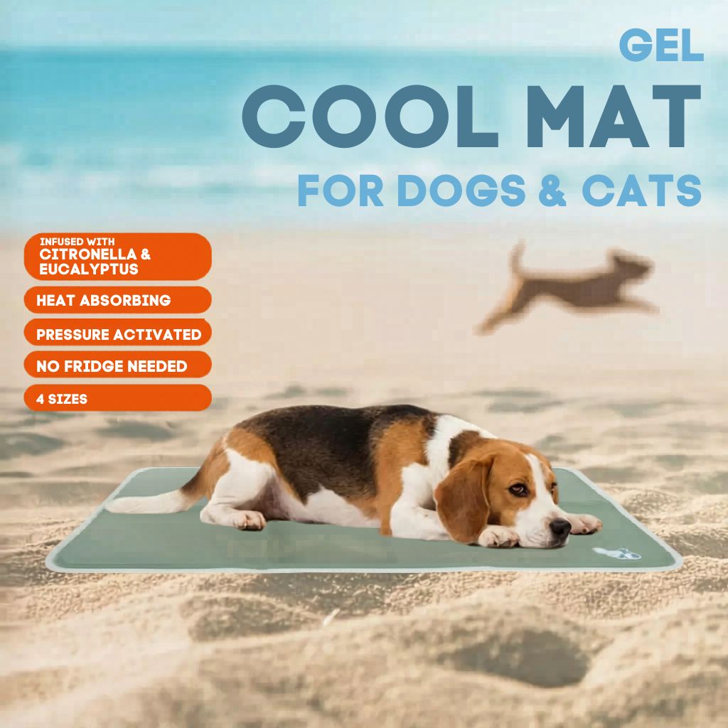 Coolpets-Hunde-Kühlmatte-2