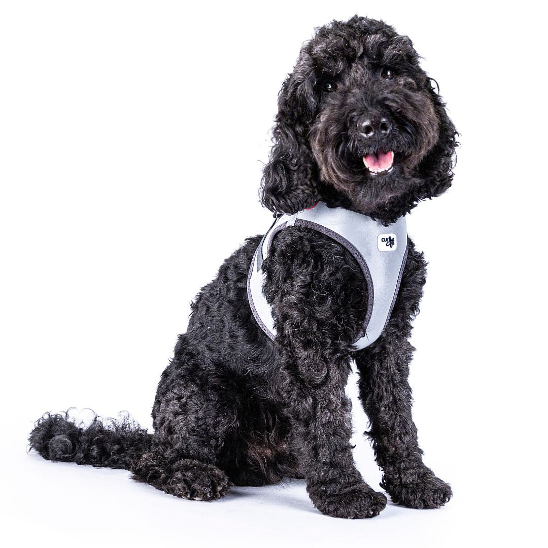 Curli-Hundegeschirr-Glow-Clasp-Vest-Reflective-Grey-Hund5