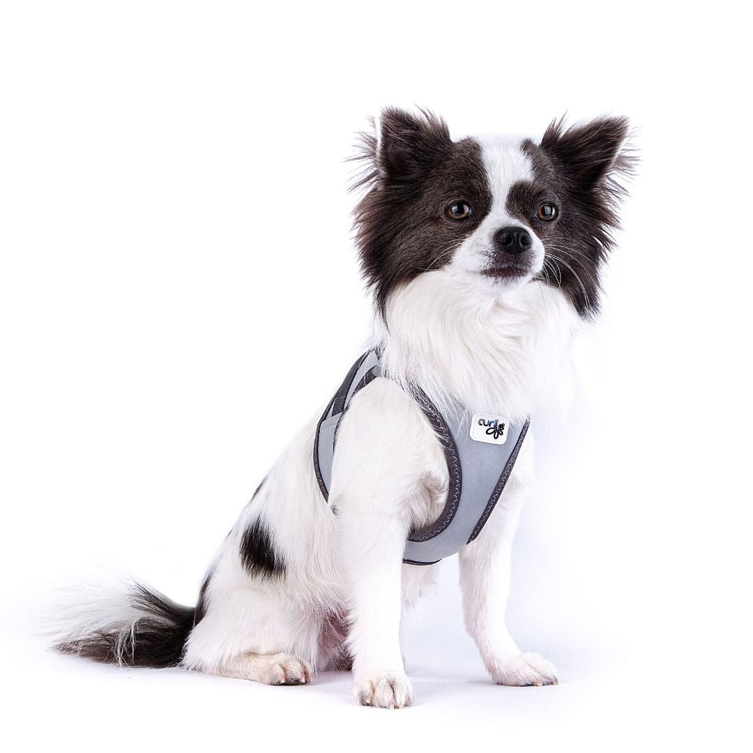 Curli-Hundegeschirr-Glow-Clasp-Vest-Reflective-Grey-Hund7